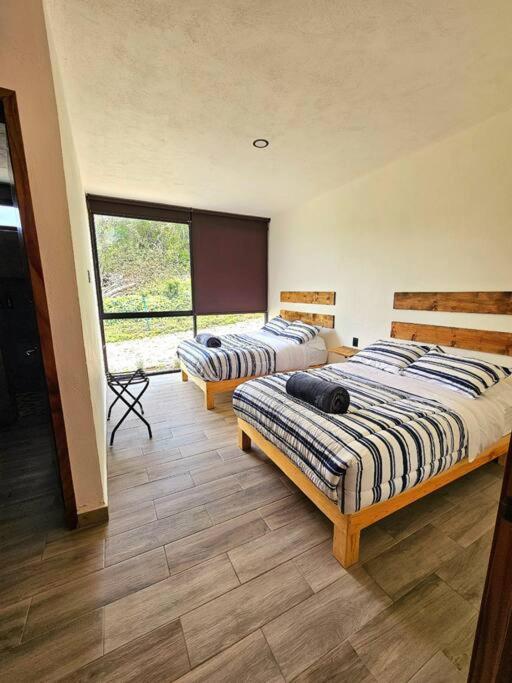 Four-Bedroom House photo 3