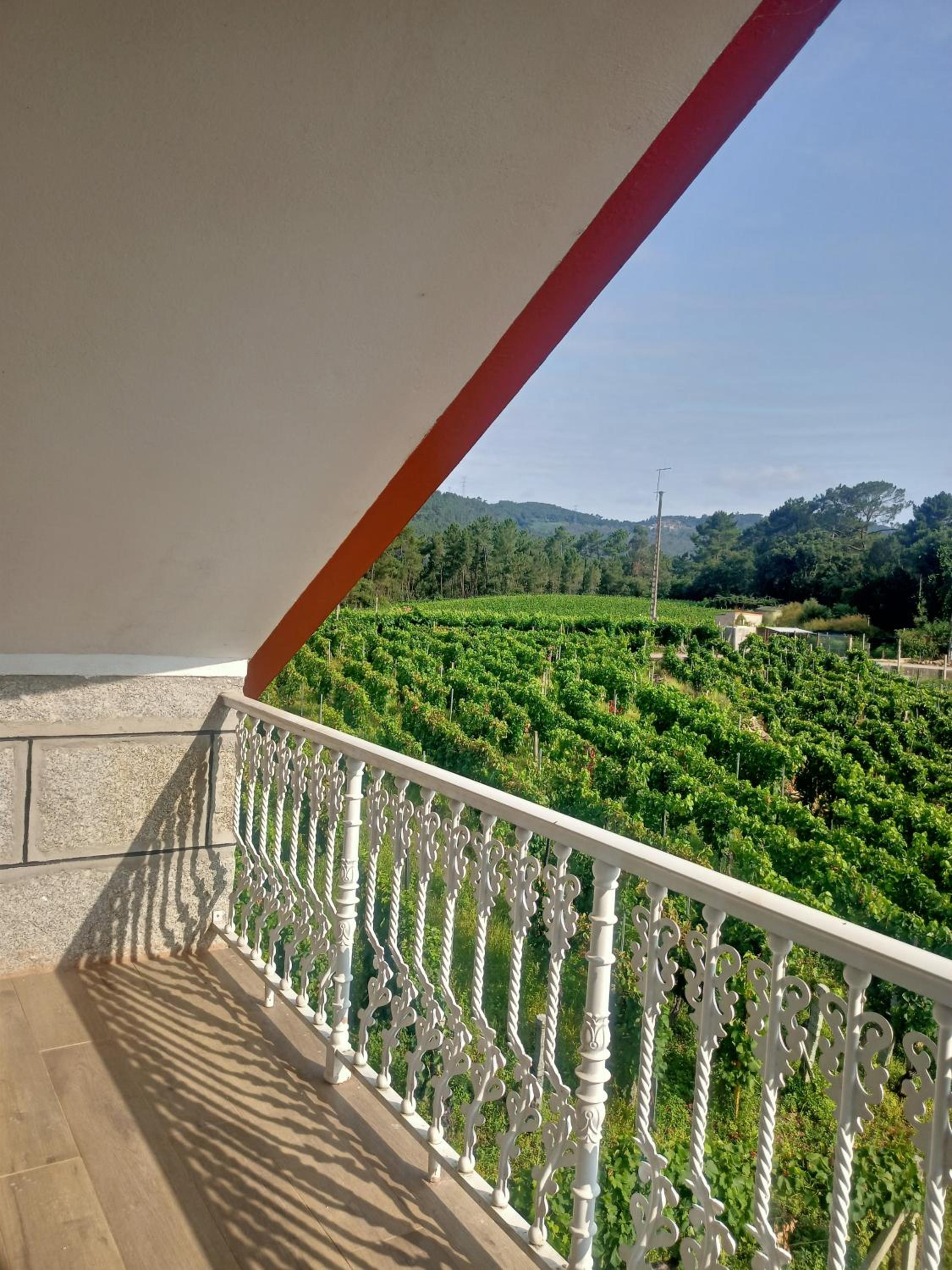 Suite with Balcony photo 2