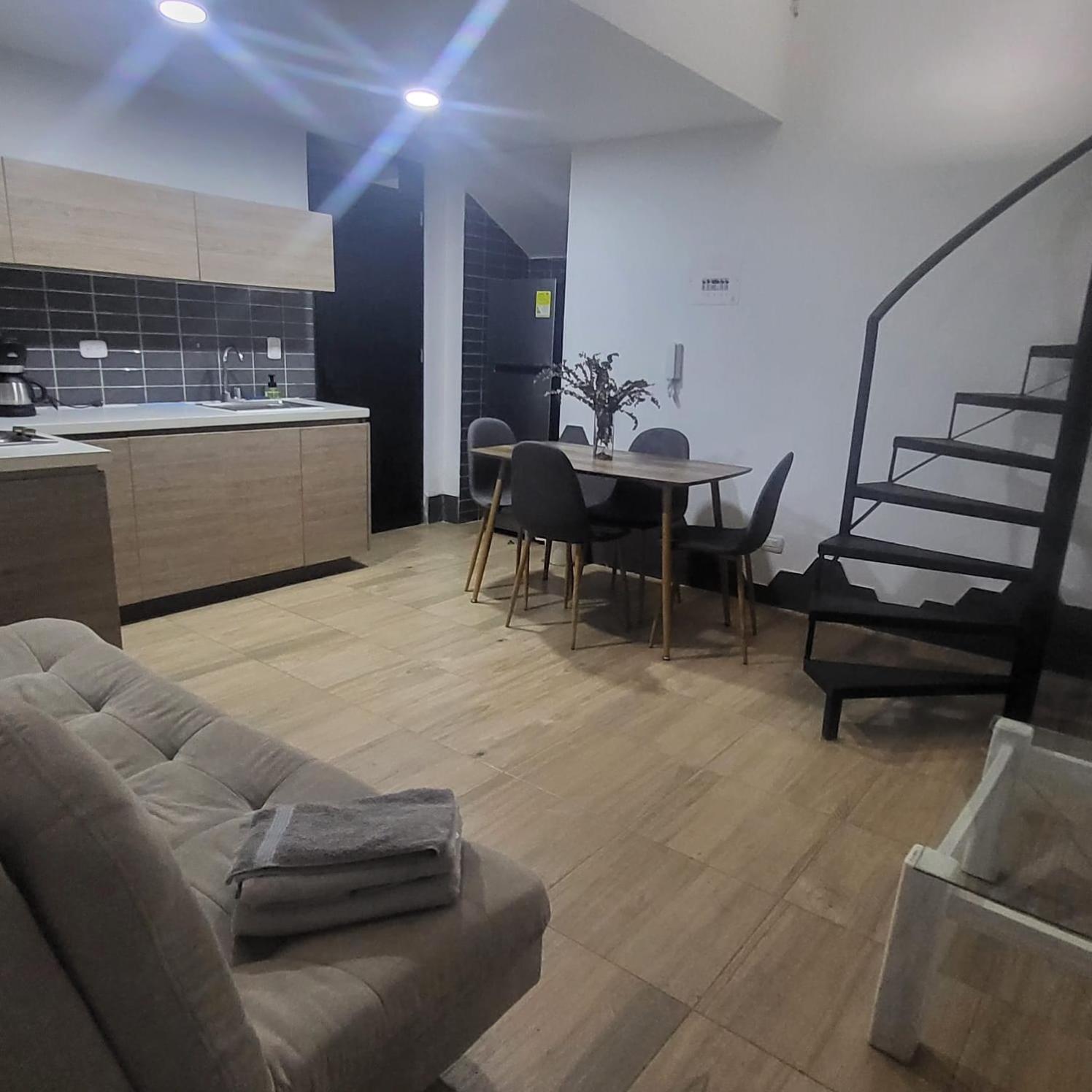Duplex Apartment photo 3