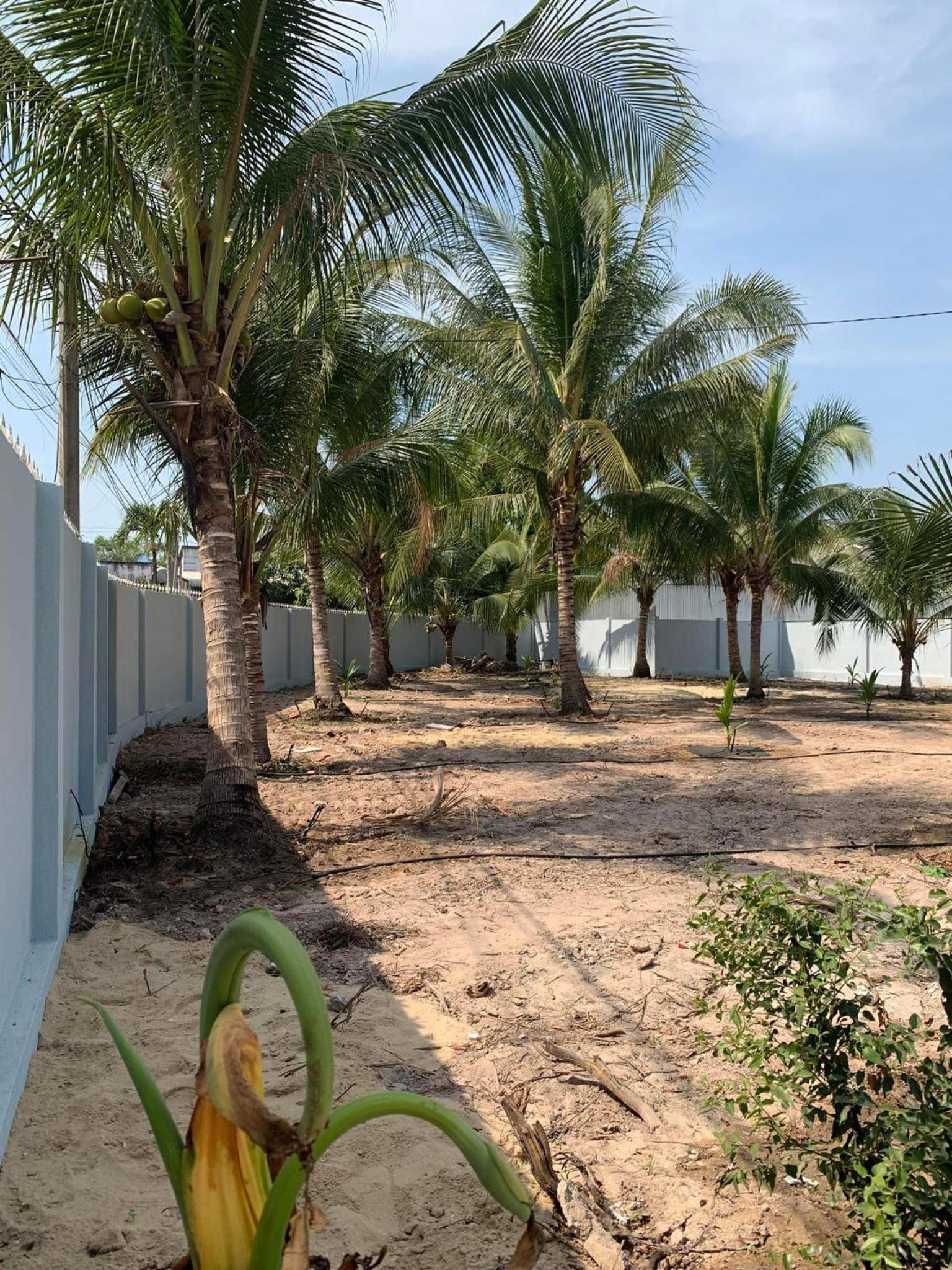 Villa photo 3