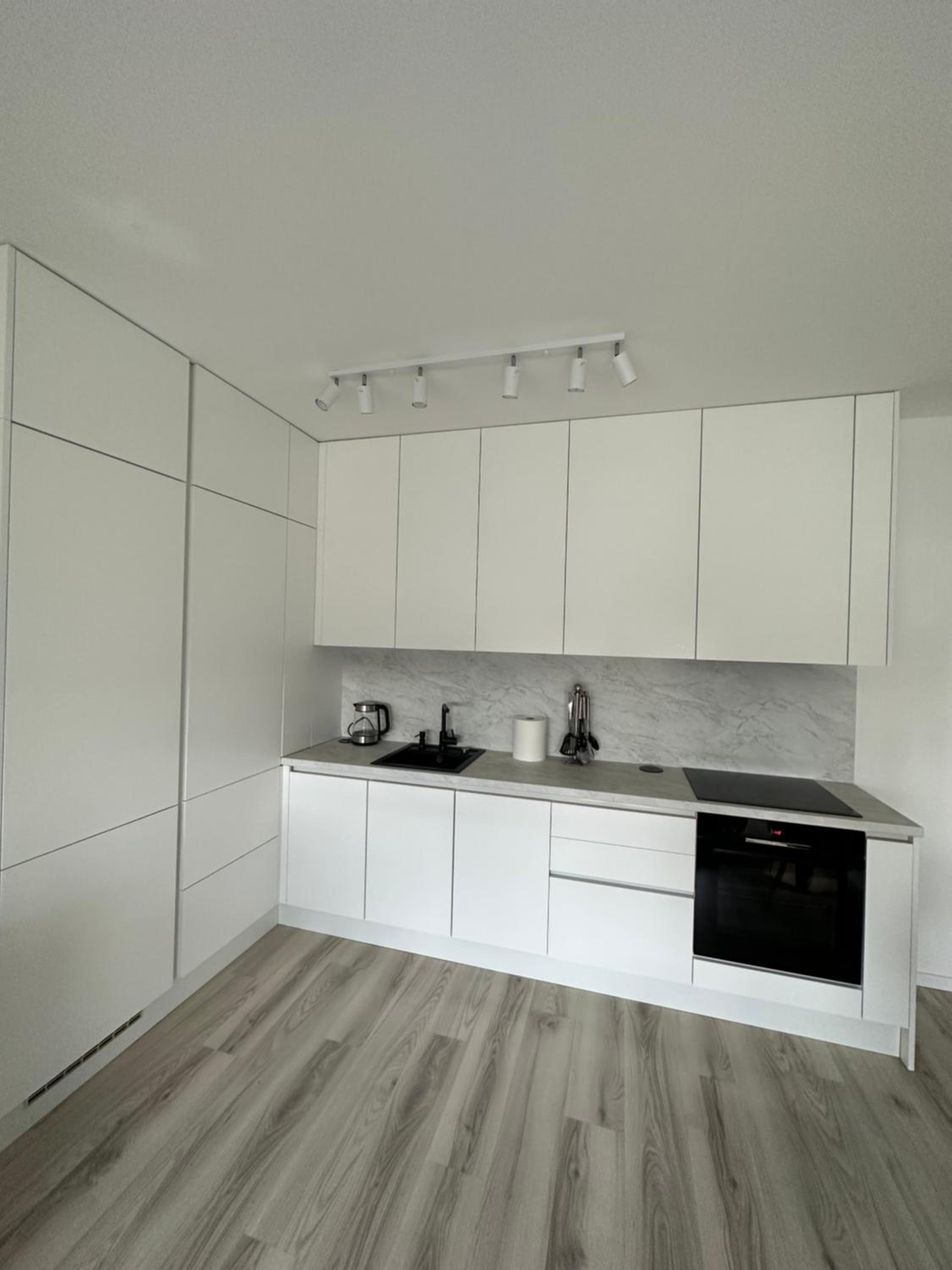 One-Bedroom Apartment - Photo 4