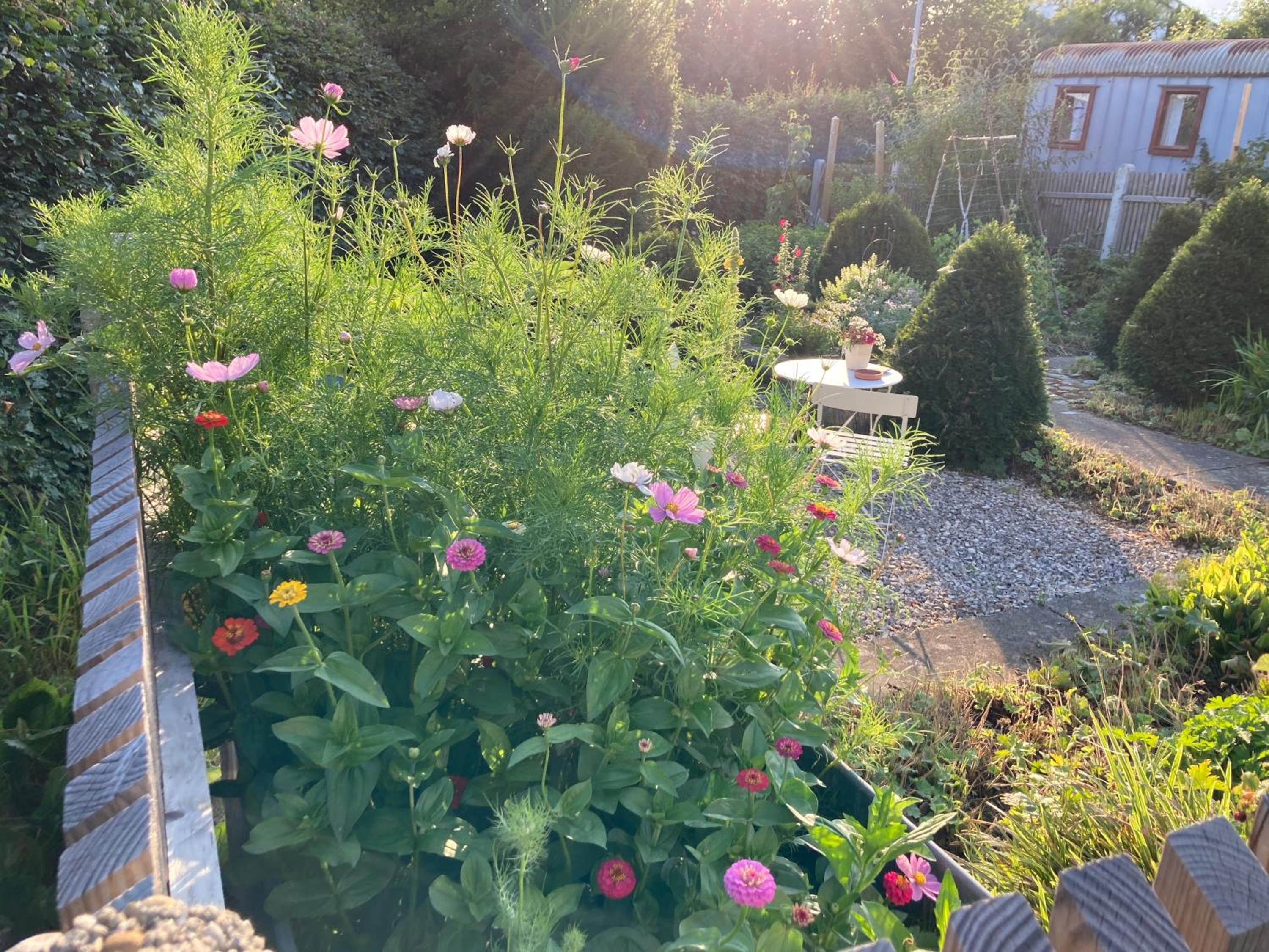 Apartment with Garden View photo 3