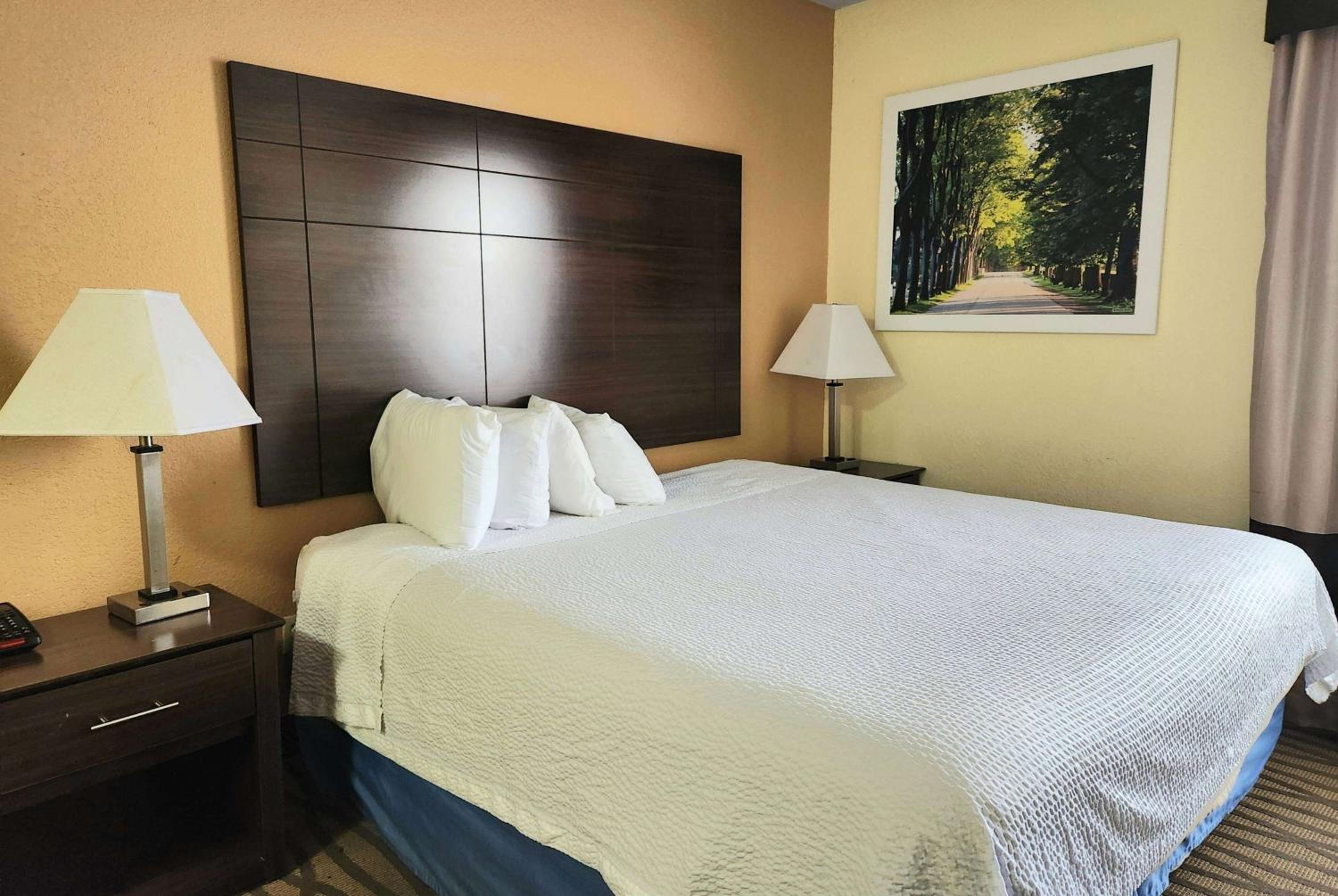 1 King Bed | Non-Smoking, Micfridge - Photo 1