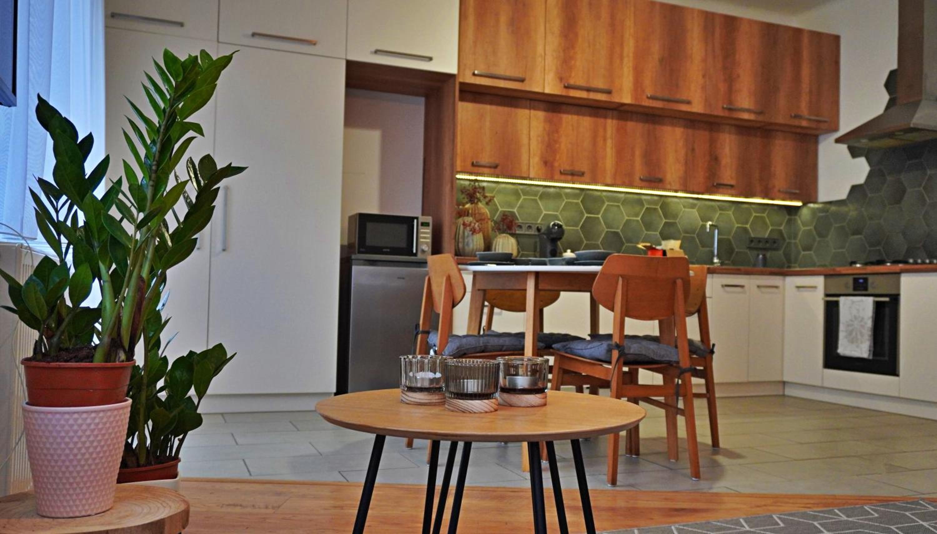 One-Bedroom Apartment photo 2