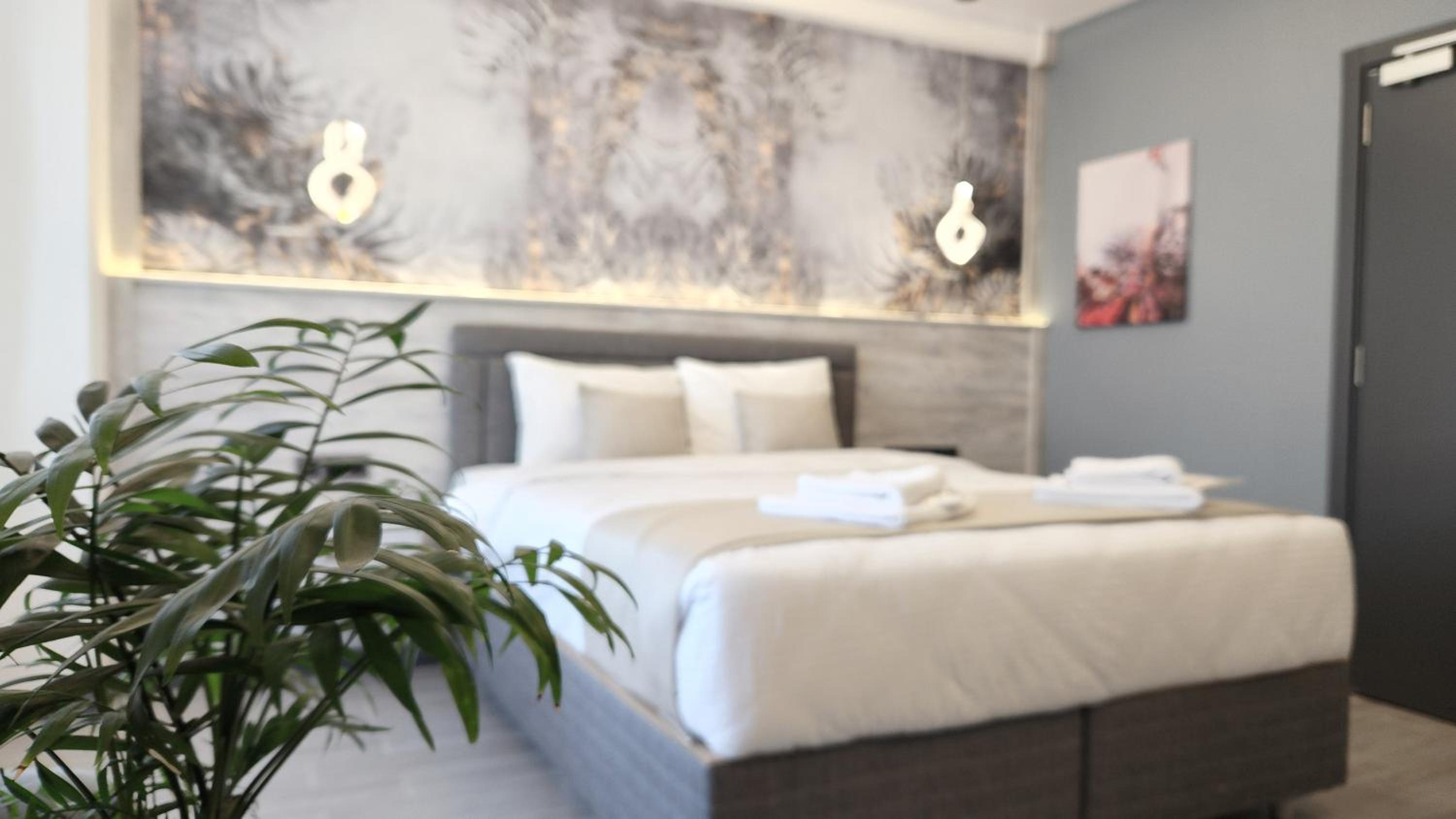 Large Double Room photo 1