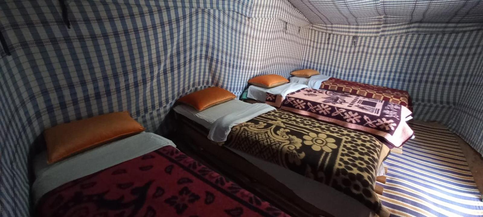 Tent (3 adults)  photo 1