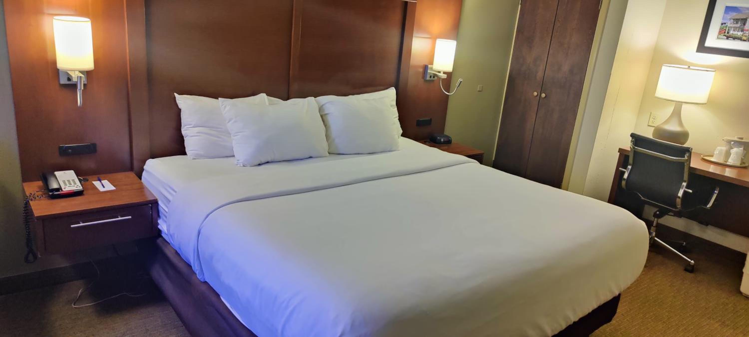 Standard King Room with Sofa Bed - Non-Smoking - Photo 1
