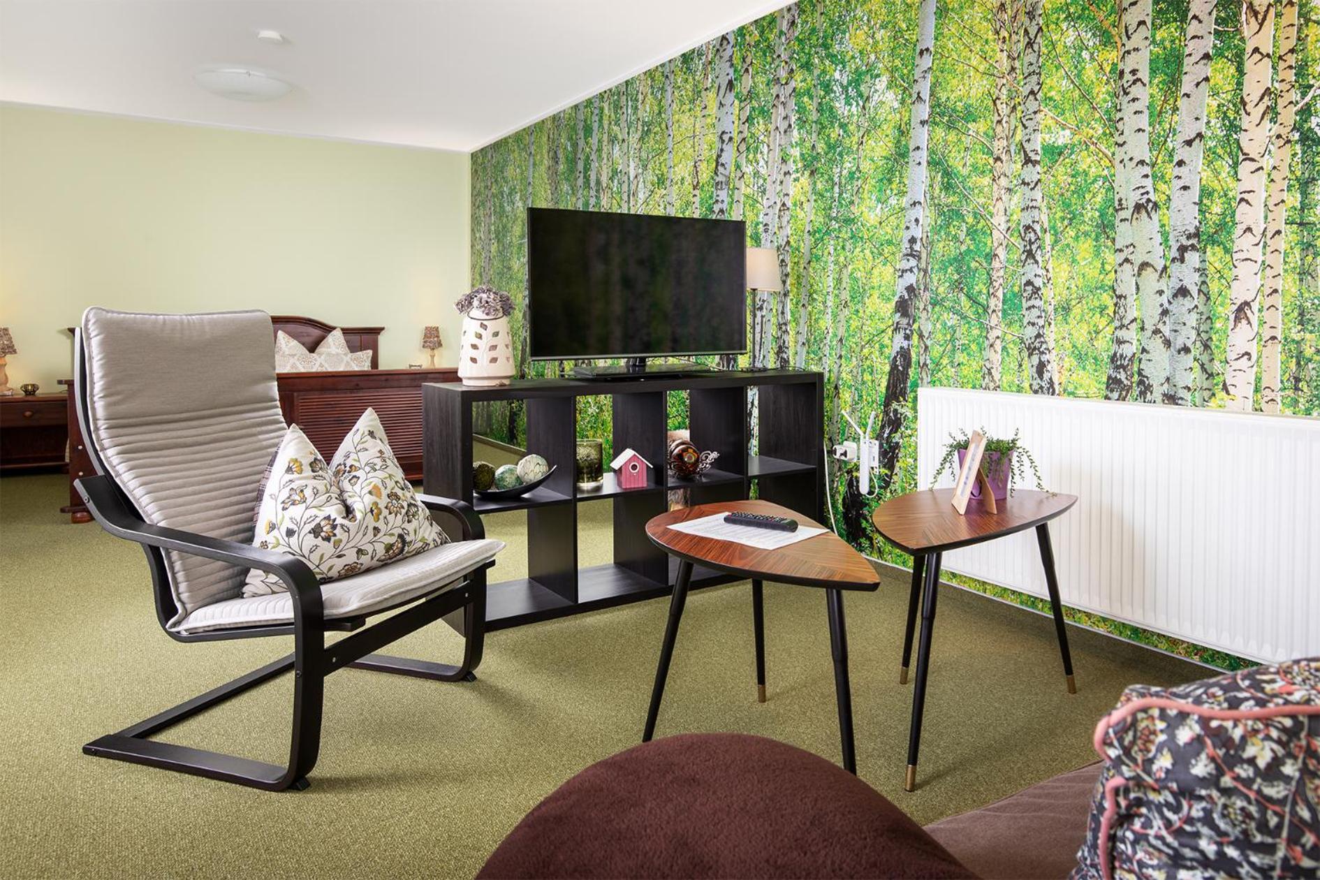 Superior Apartment photo 2