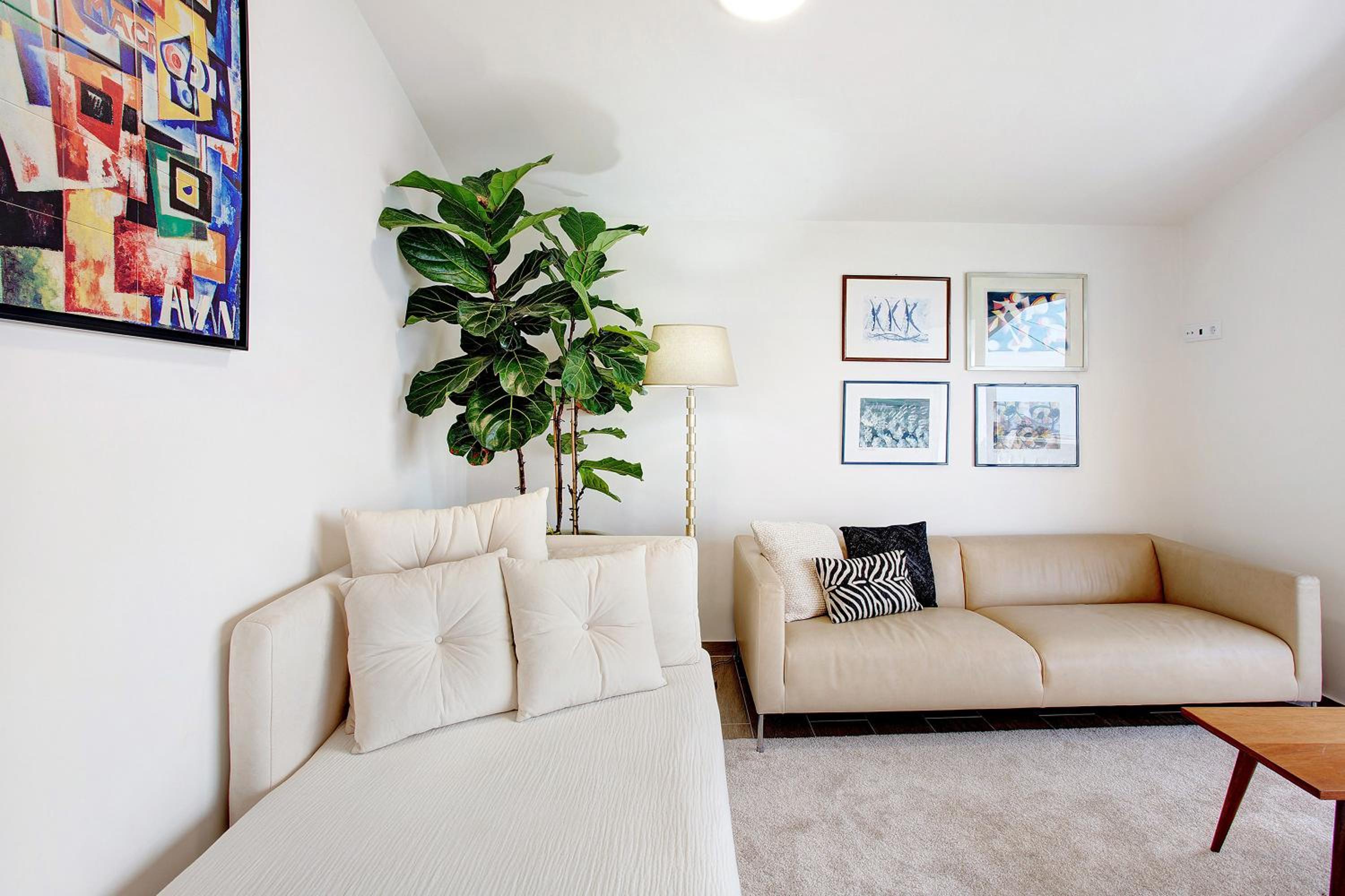 One-Bedroom House photo 2