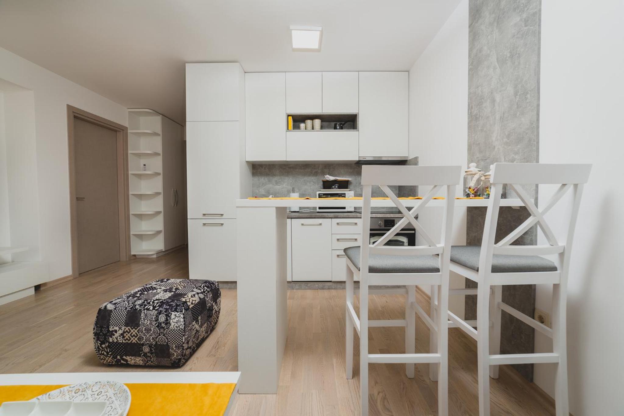 Superior One-Bedroom Apartment with Balcony photo 3