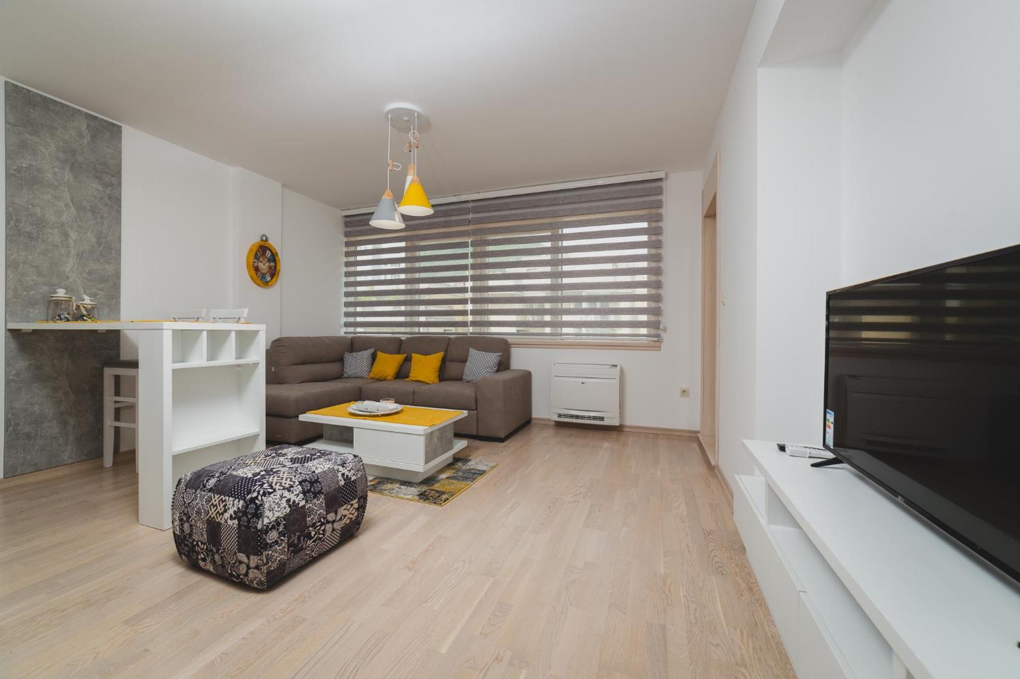 Superior One-Bedroom Apartment with Balcony photo 1