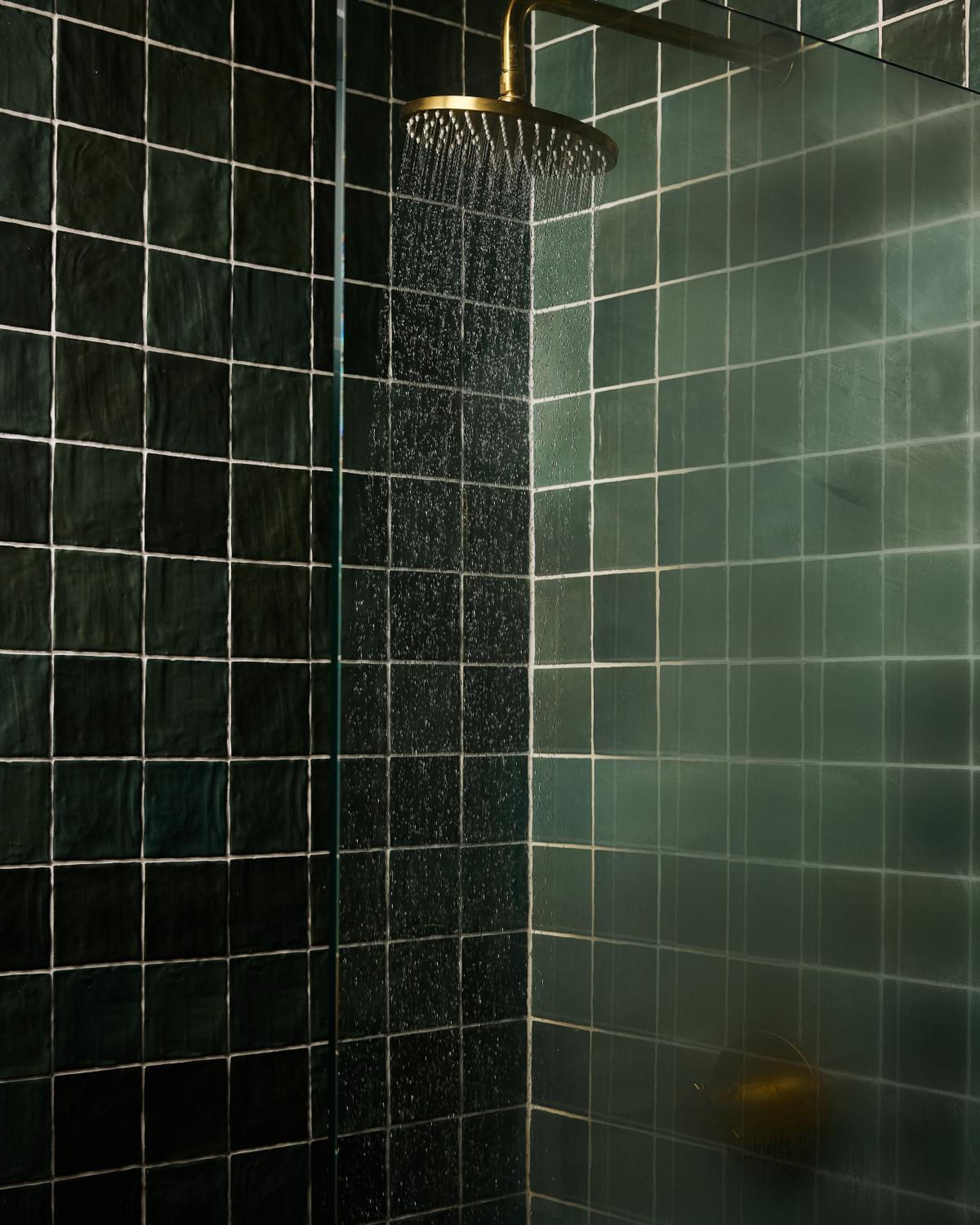 Deluxe King Suite - Photo 13