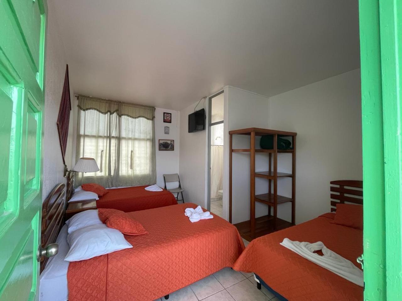 Standard Triple Room photo 3