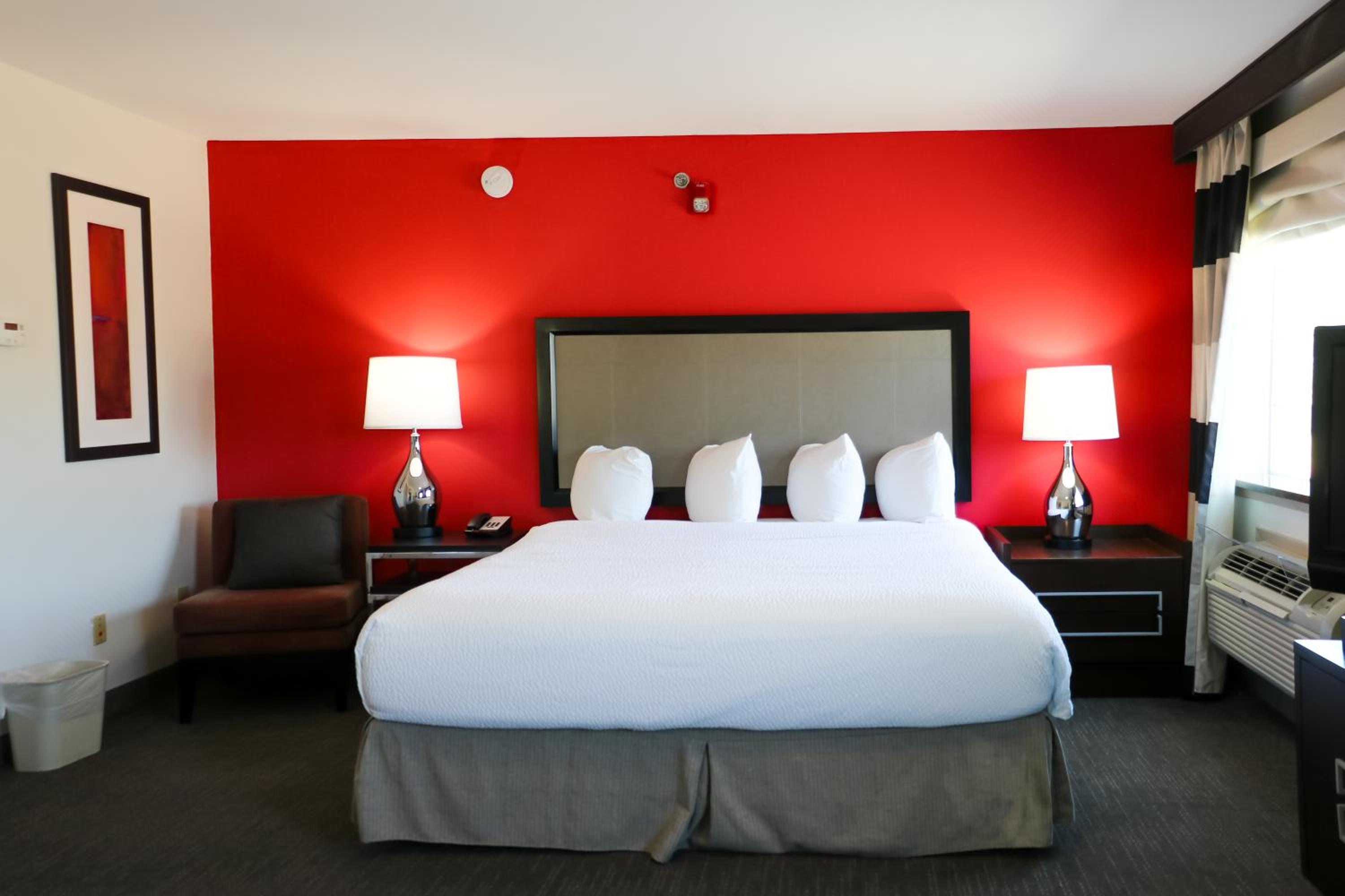 One-Bedroom King Suite - Non-Smoking - Photo 1