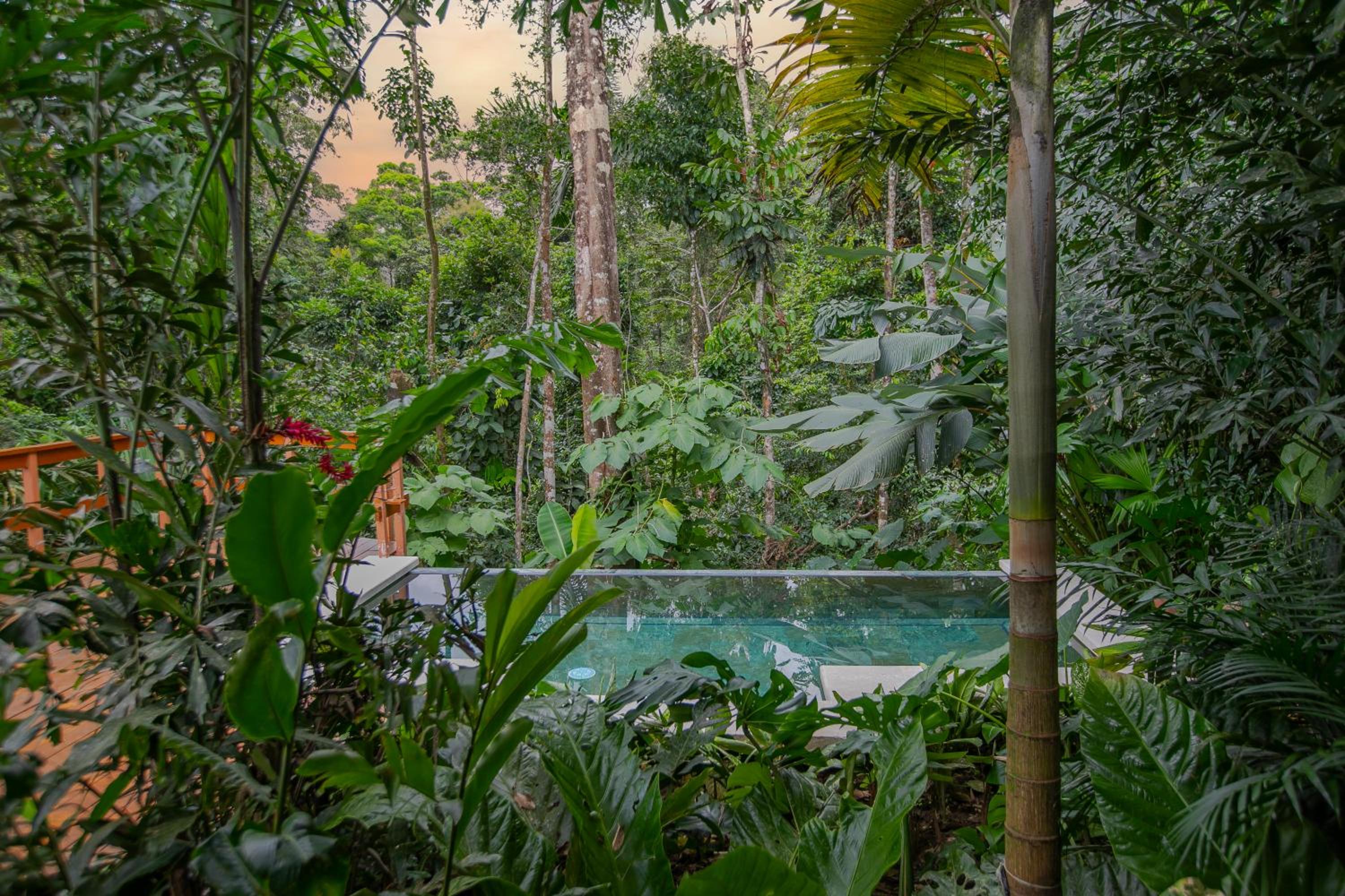 Two Bedroom Villa with Plunge Pool photo 3