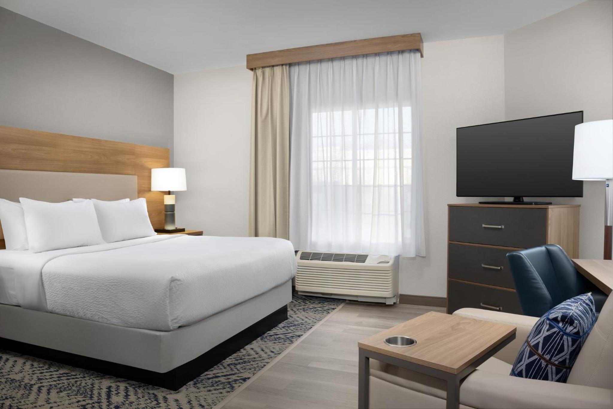 Studio Suite - Photo 1