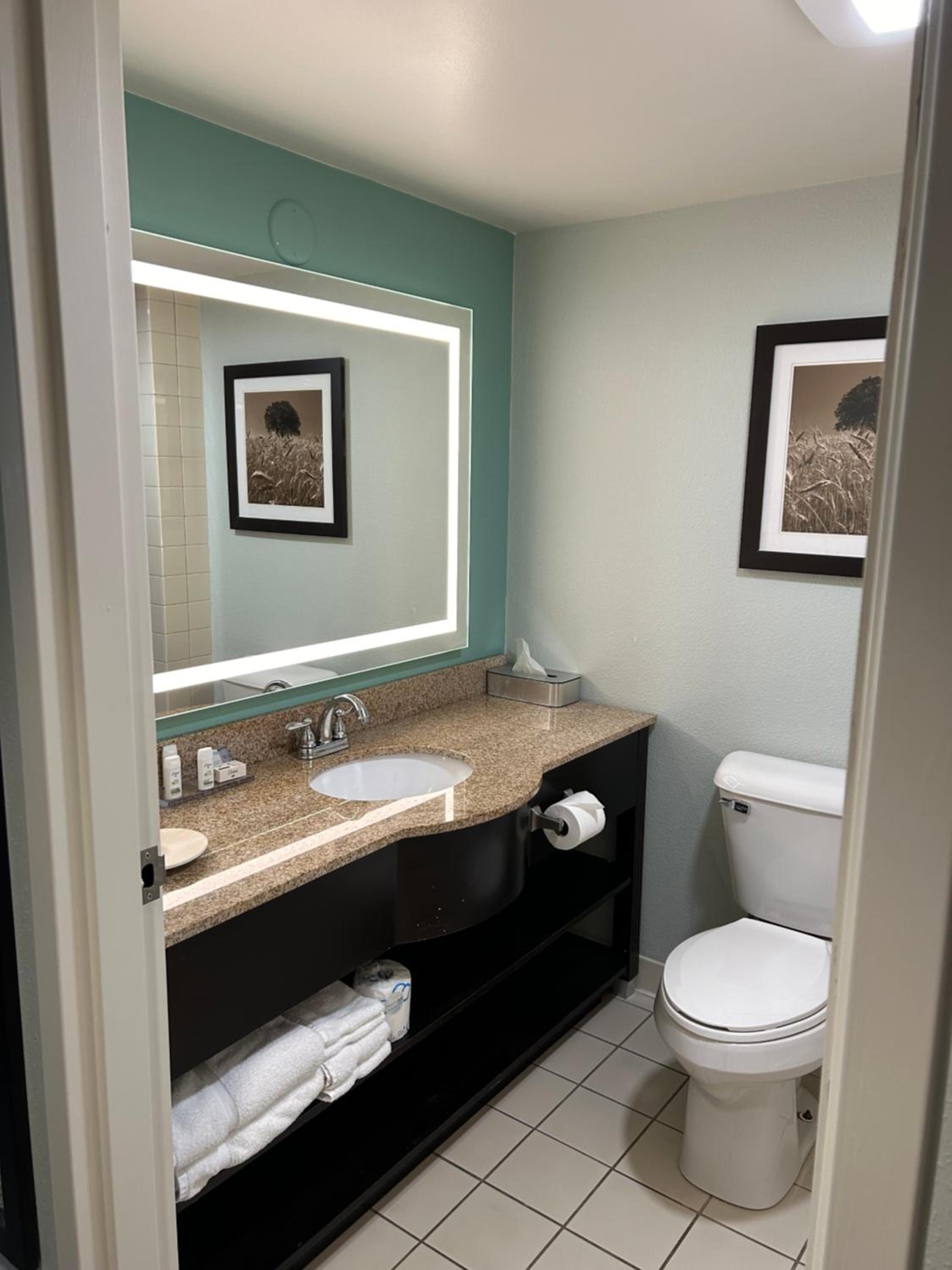 King Room with One King Bed - Mobility Accessible - No Pets/Non-Smoking - Photo 3