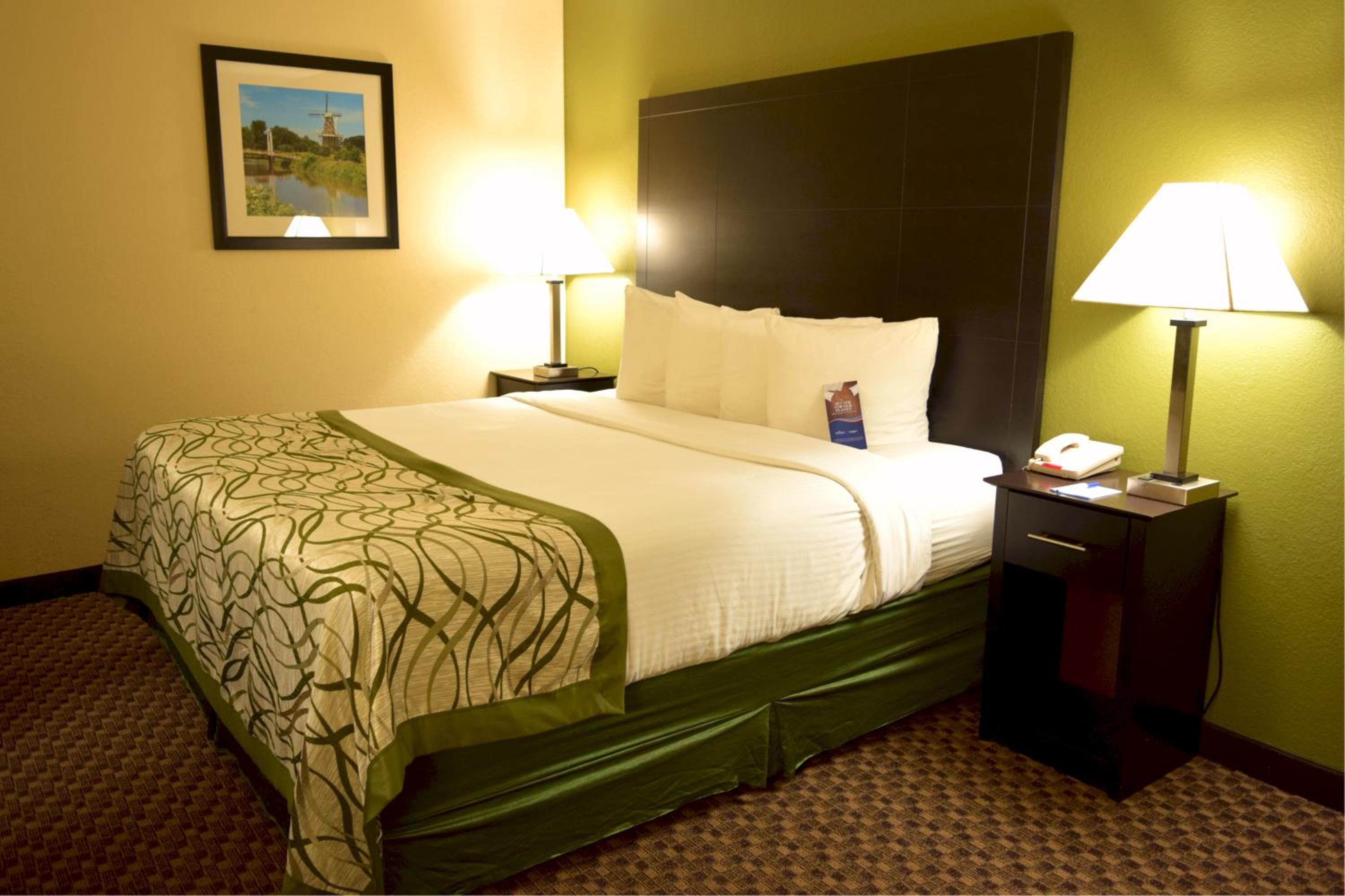 King Room - Pet Friendly/Non-Smoking photo 1