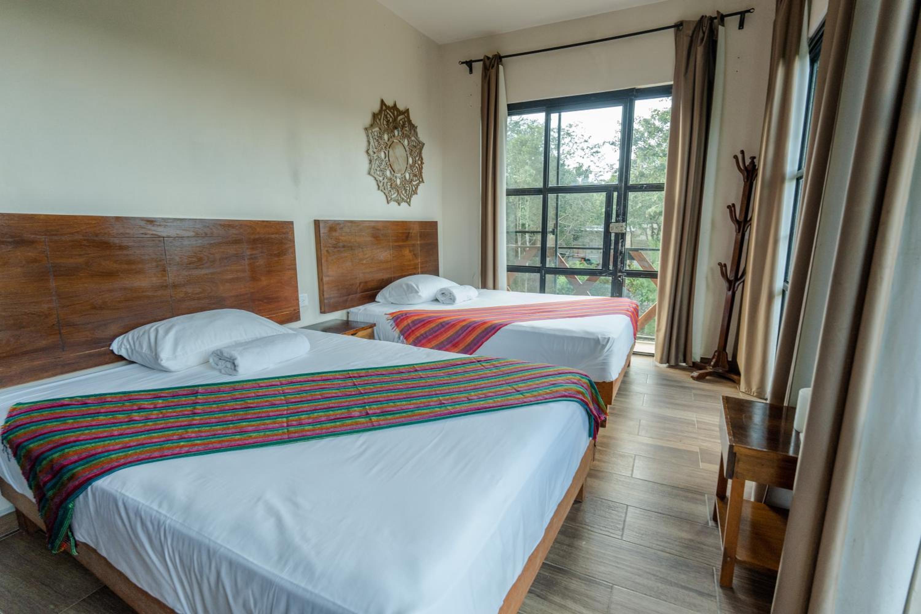 Twin Room photo 1