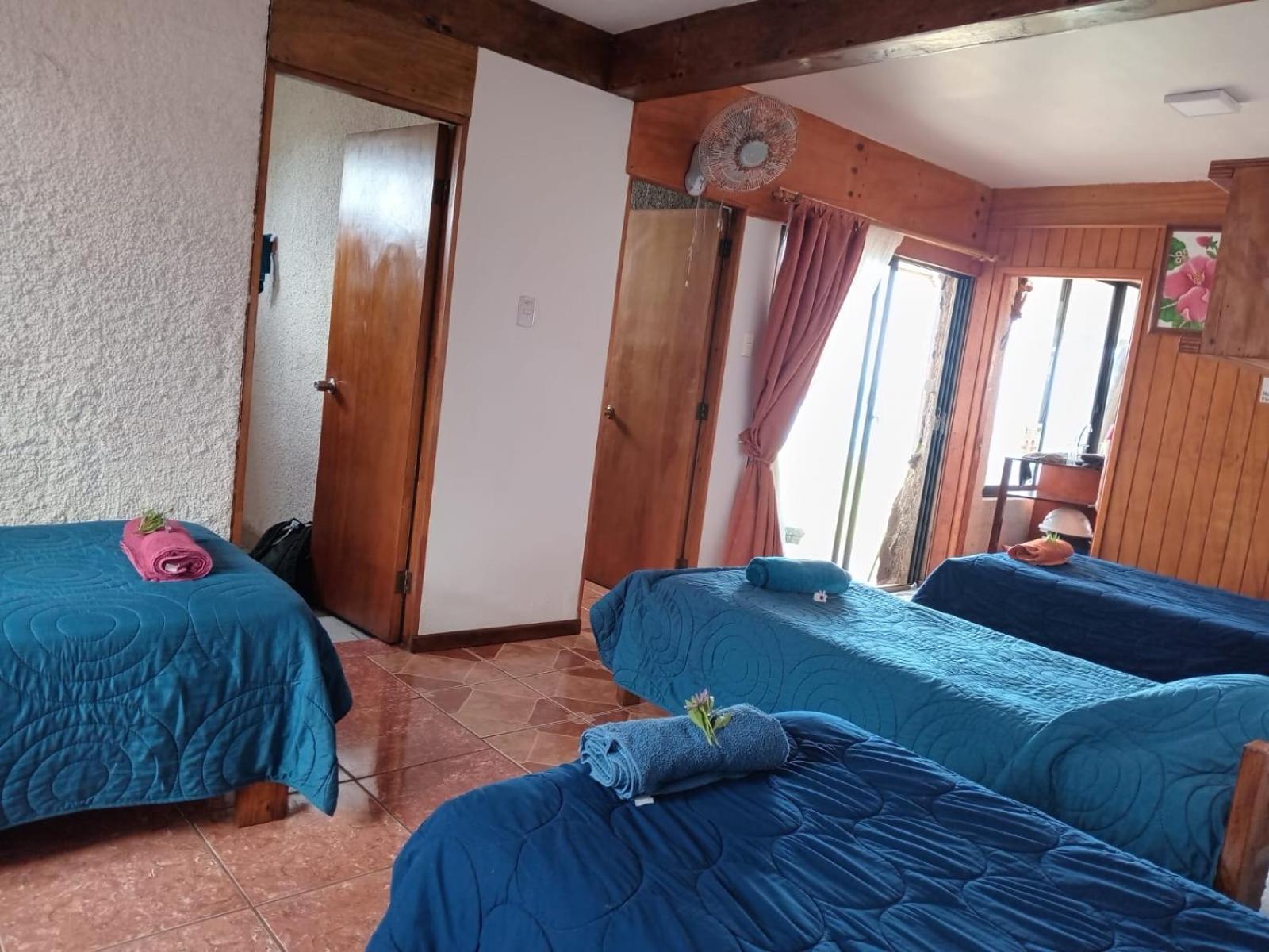 Single Bed in Mixed Dormitory Room