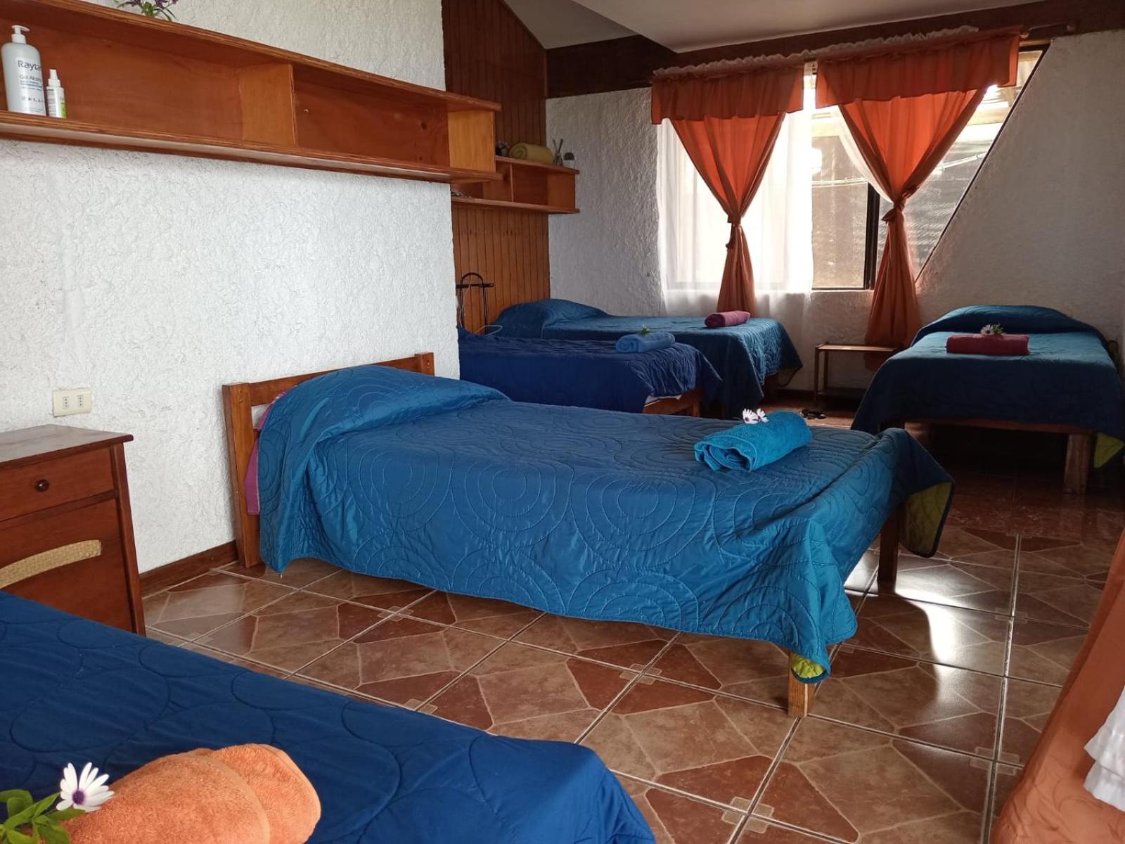 Single Bed in Mixed Dormitory Room photo 2