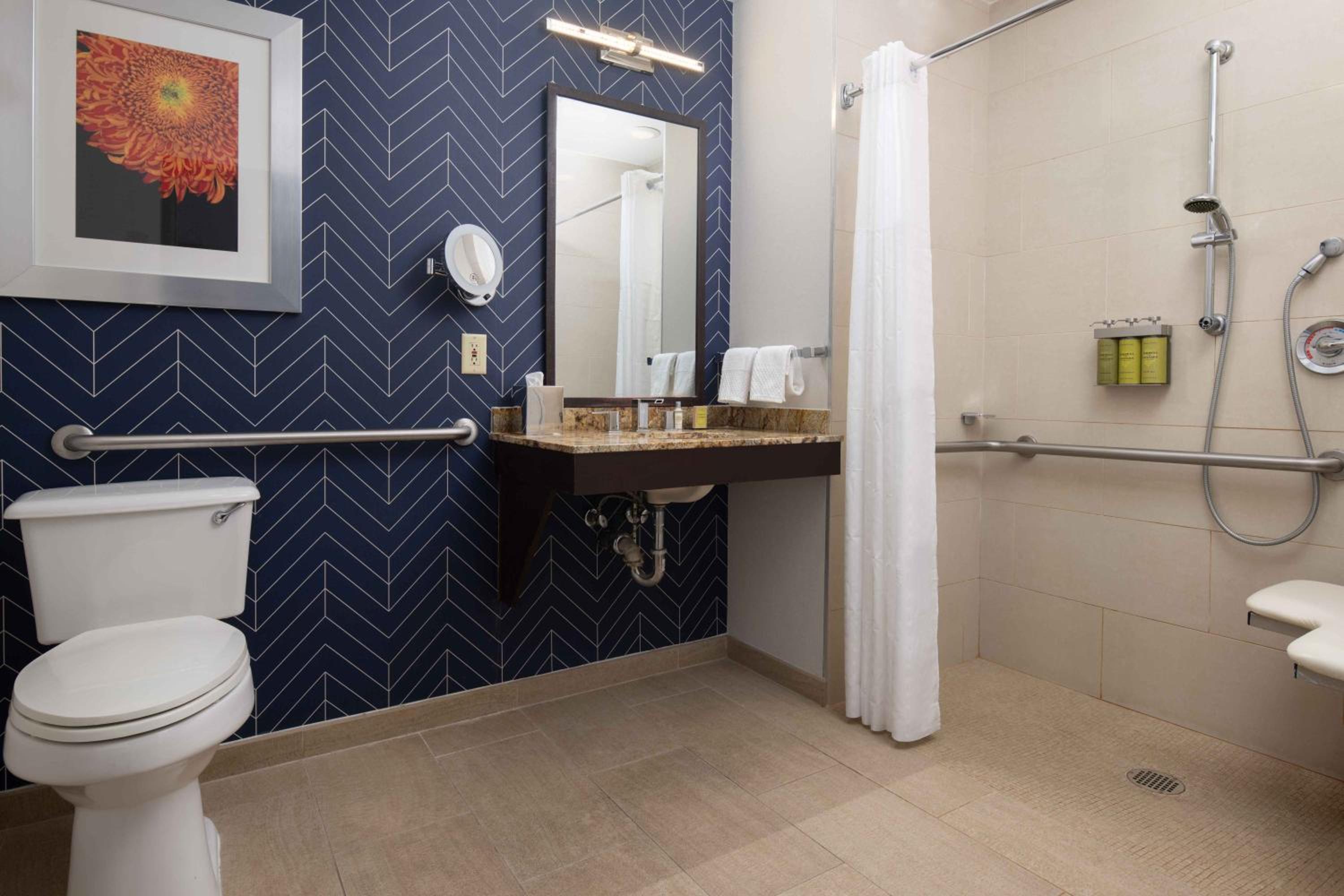 King Room with Roll-In Shower - Mobility and Hearing Access - Photo 6