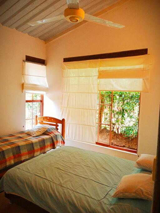 Three-Bedroom House photo 3