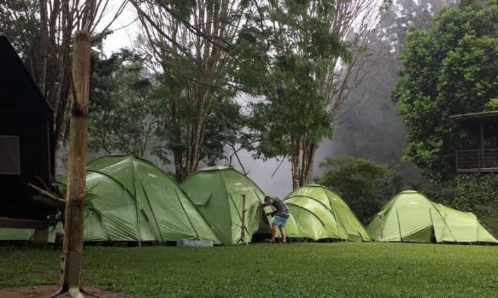 Tent photo 3
