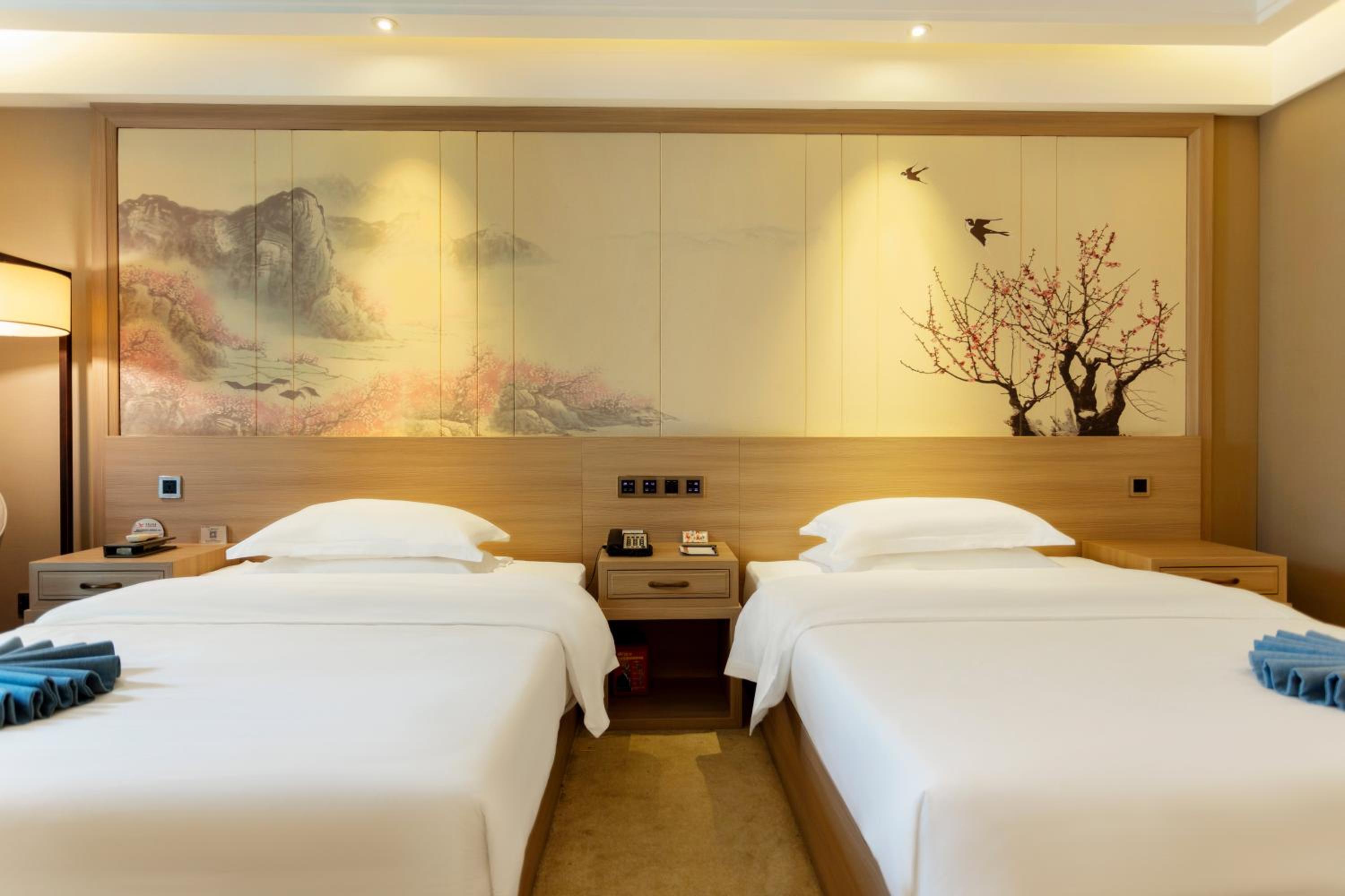Executive Twin Room photo 2