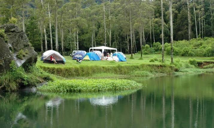 Tent photo 3