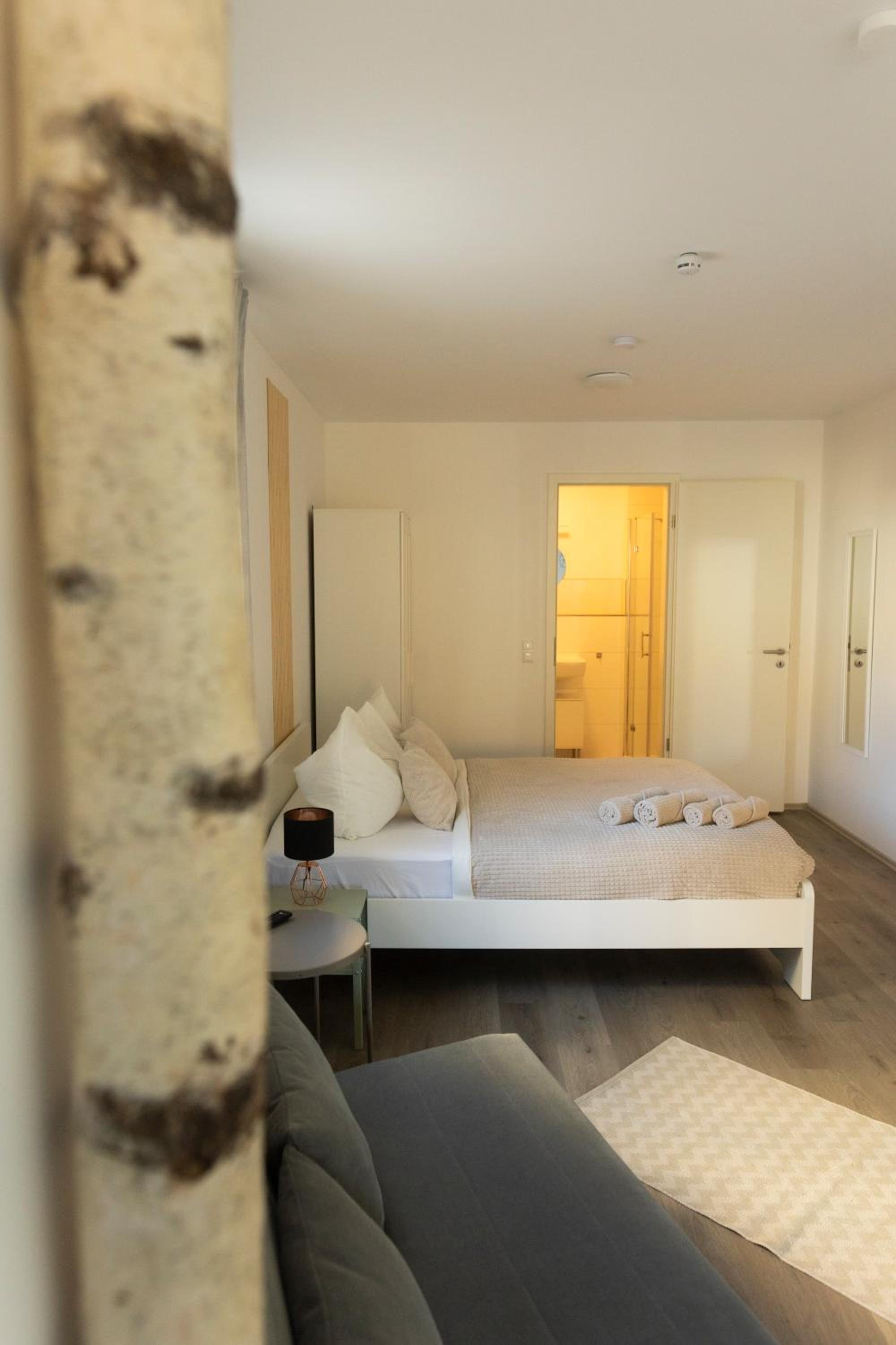 One-Bedroom Apartment photo 2