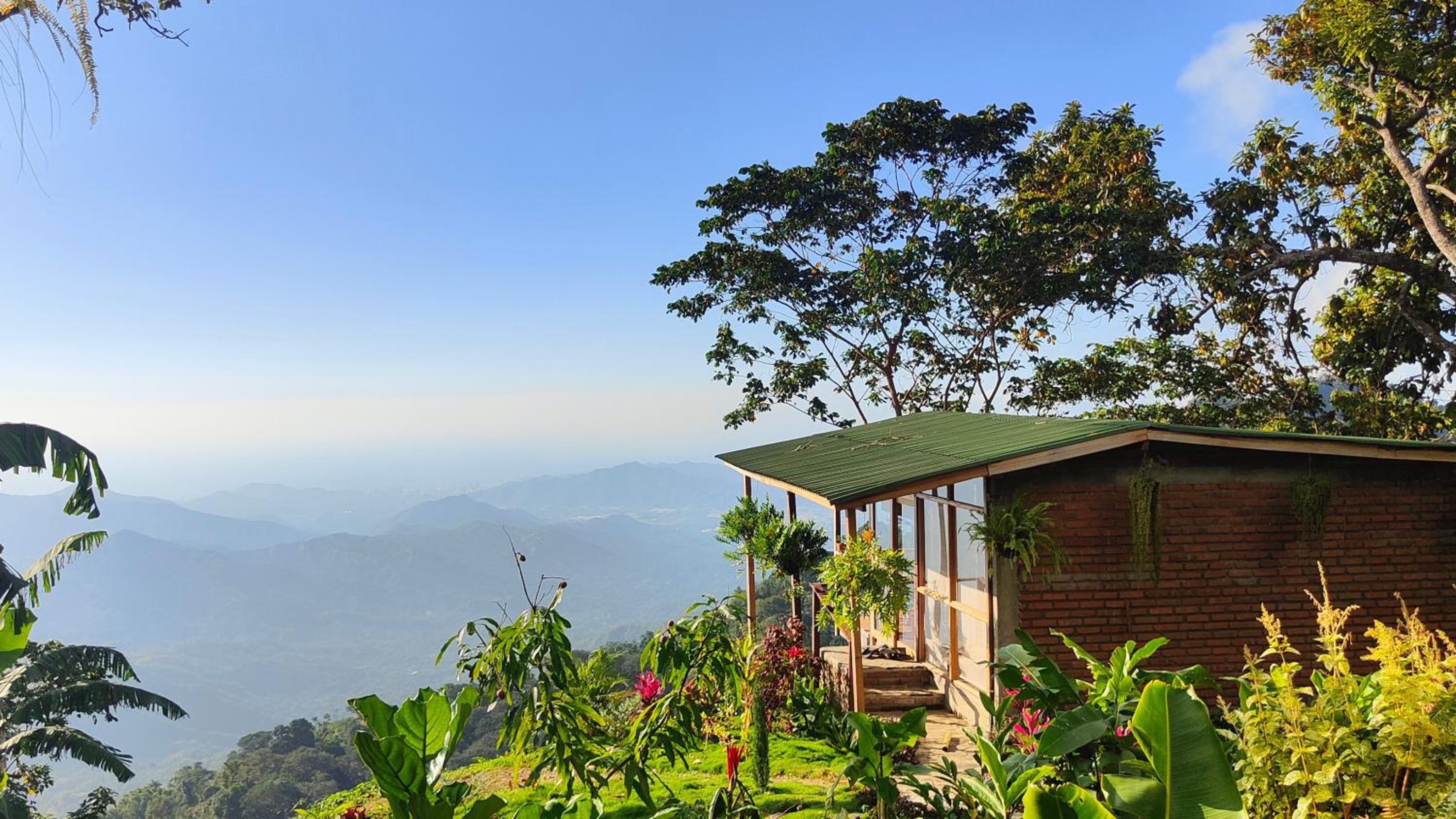 Bungalow with Sea View photo 2