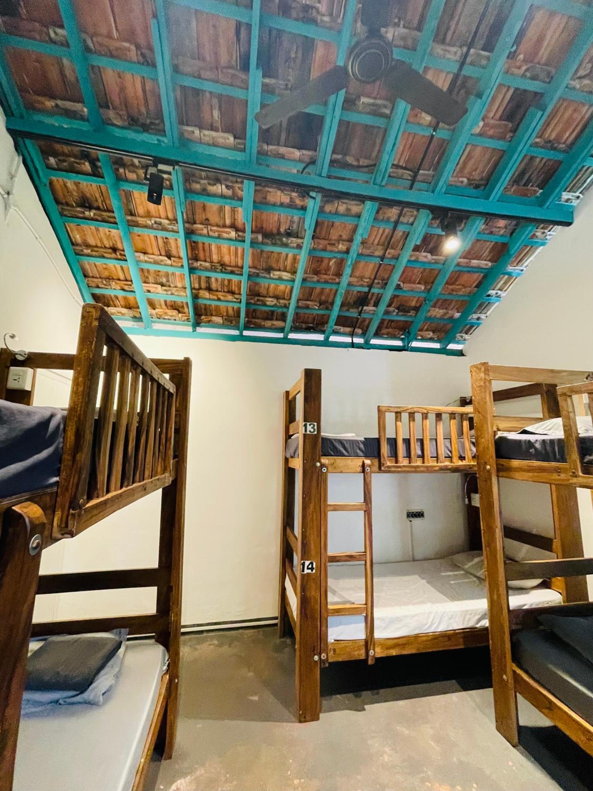 Bed in 6-Bed Mixed Dormitory Room photo 1