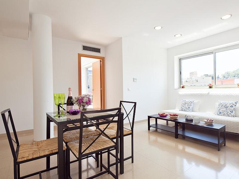 Duplex Apartment photo 2