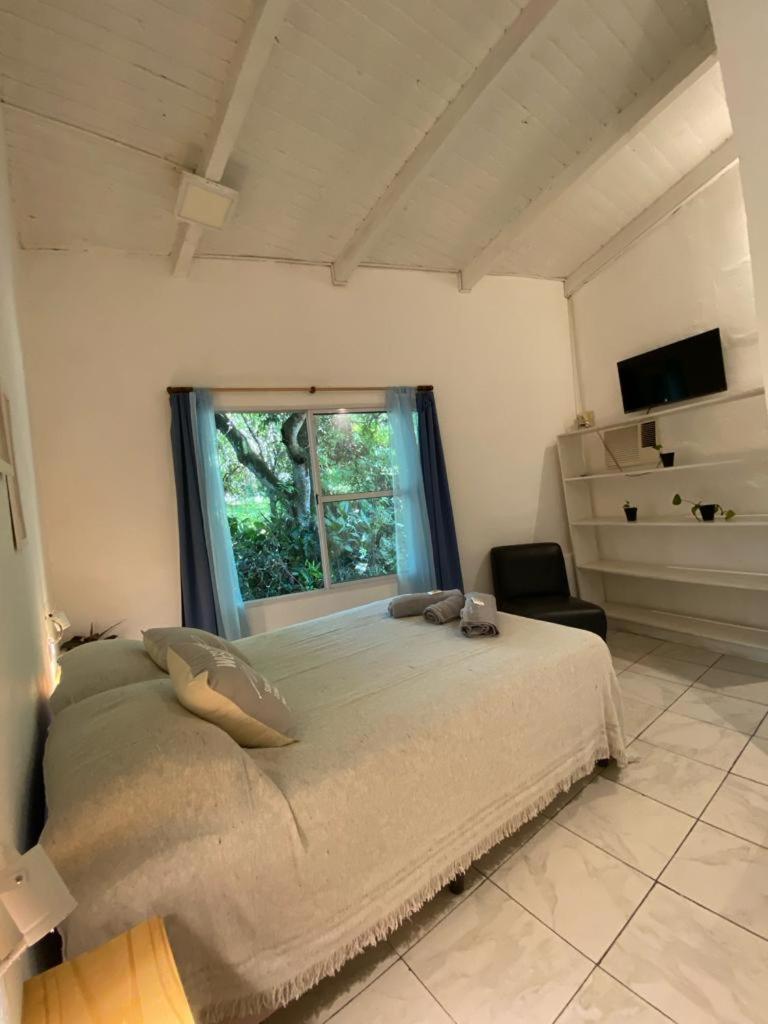 Double Room with Park View photo 3