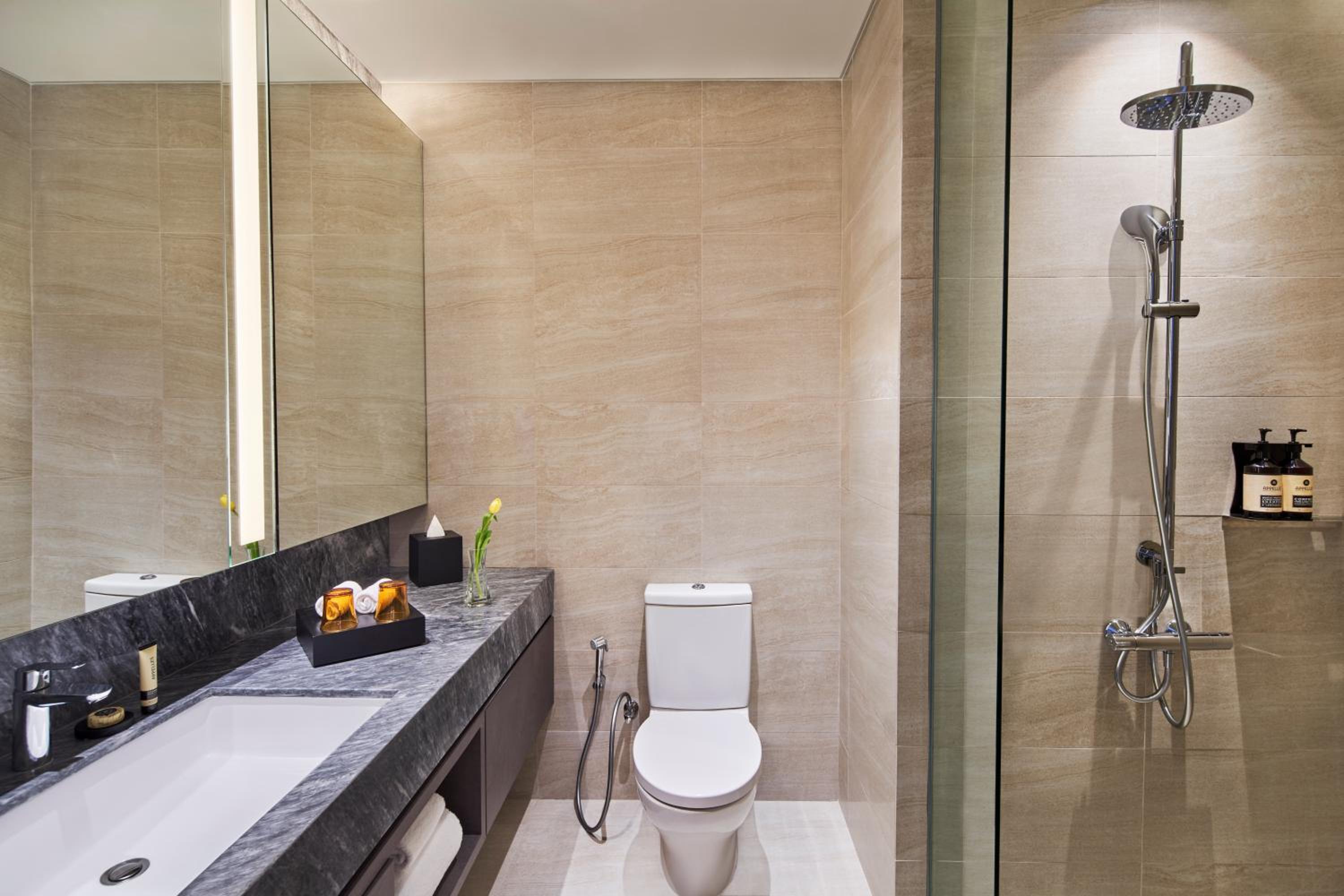 Studio Suite - Photo 2