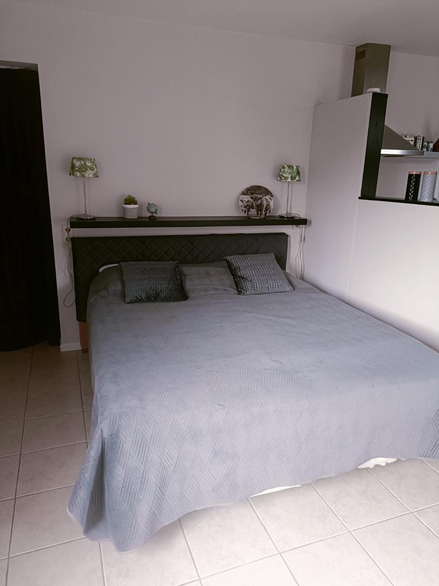 One-Bedroom Apartment photo 3