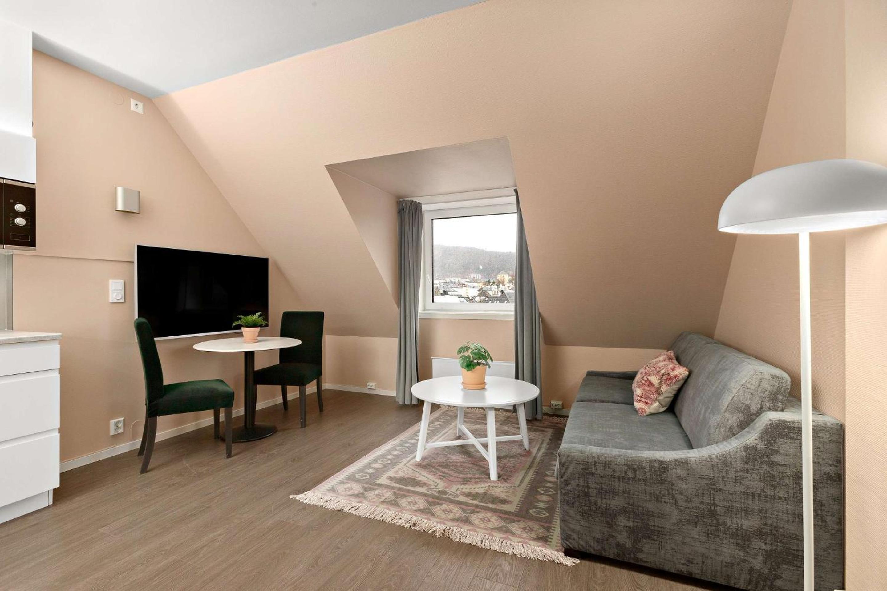 One-Bedroom Apartment with Sofa Bed - Non-Smoking - Photo 2