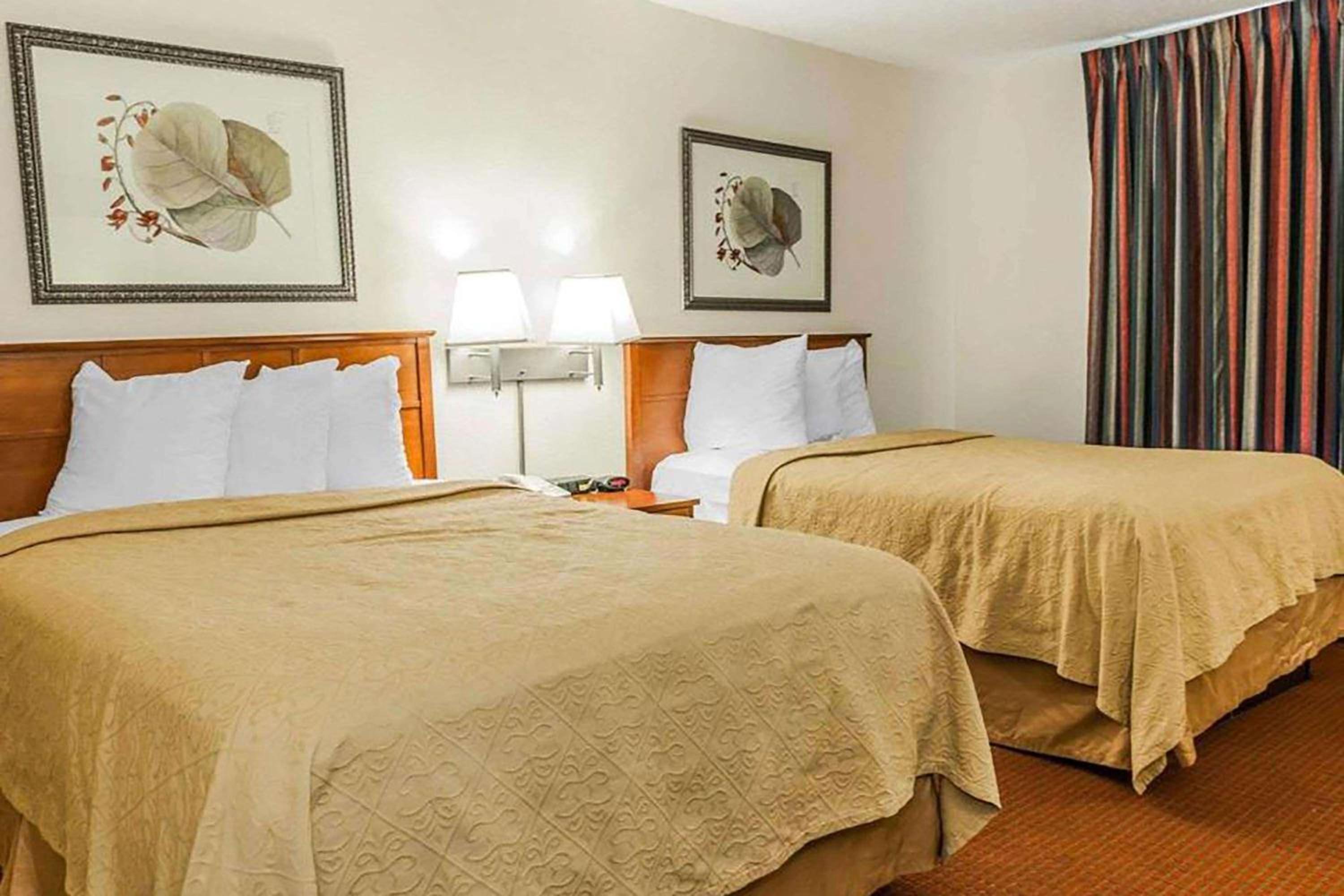 King Room - Non-Smoking - Photo 1