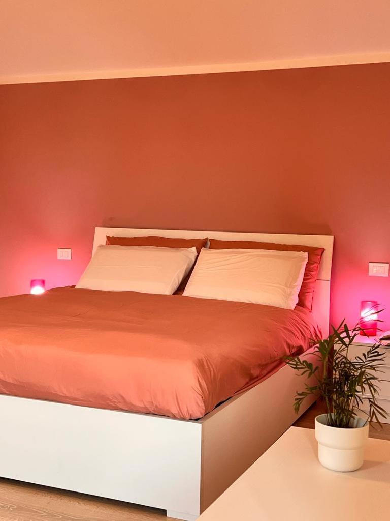Large Double Room photo 3