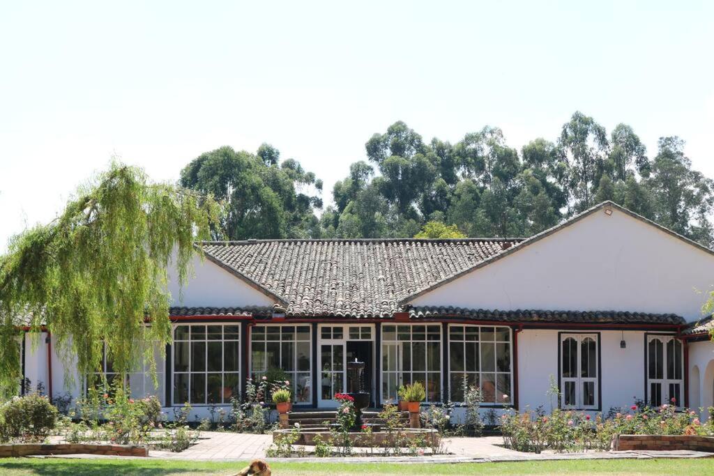 Seven-Bedroom House photo 1