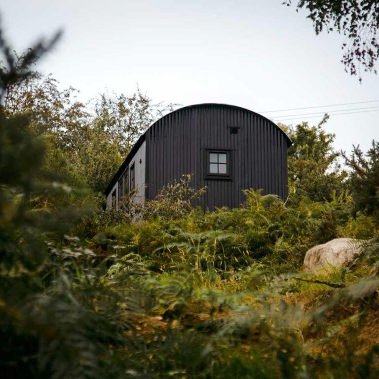 Ivy Shepherds Hut (Adults Only) photo 3