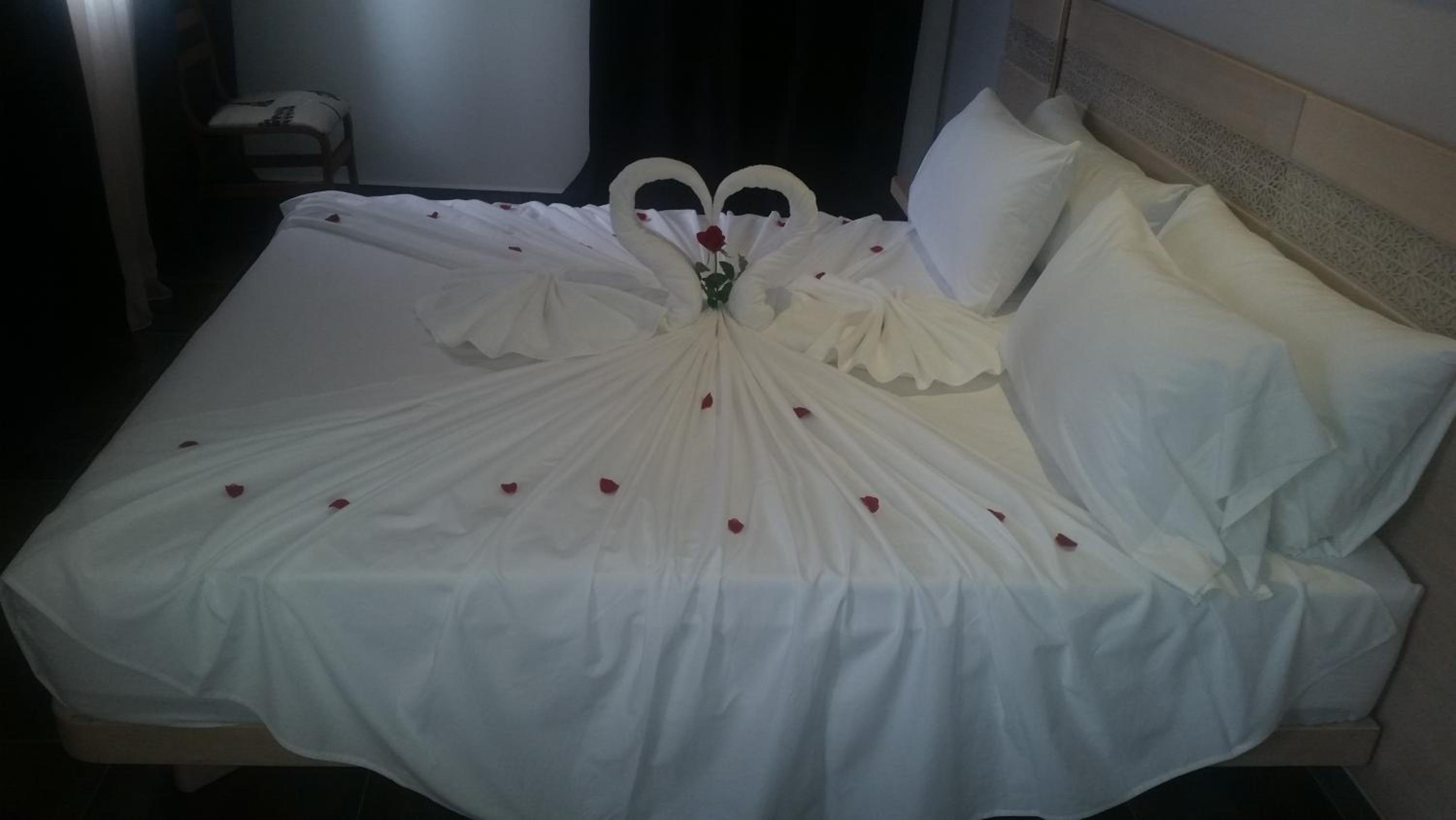 Superior Double Room photo 2