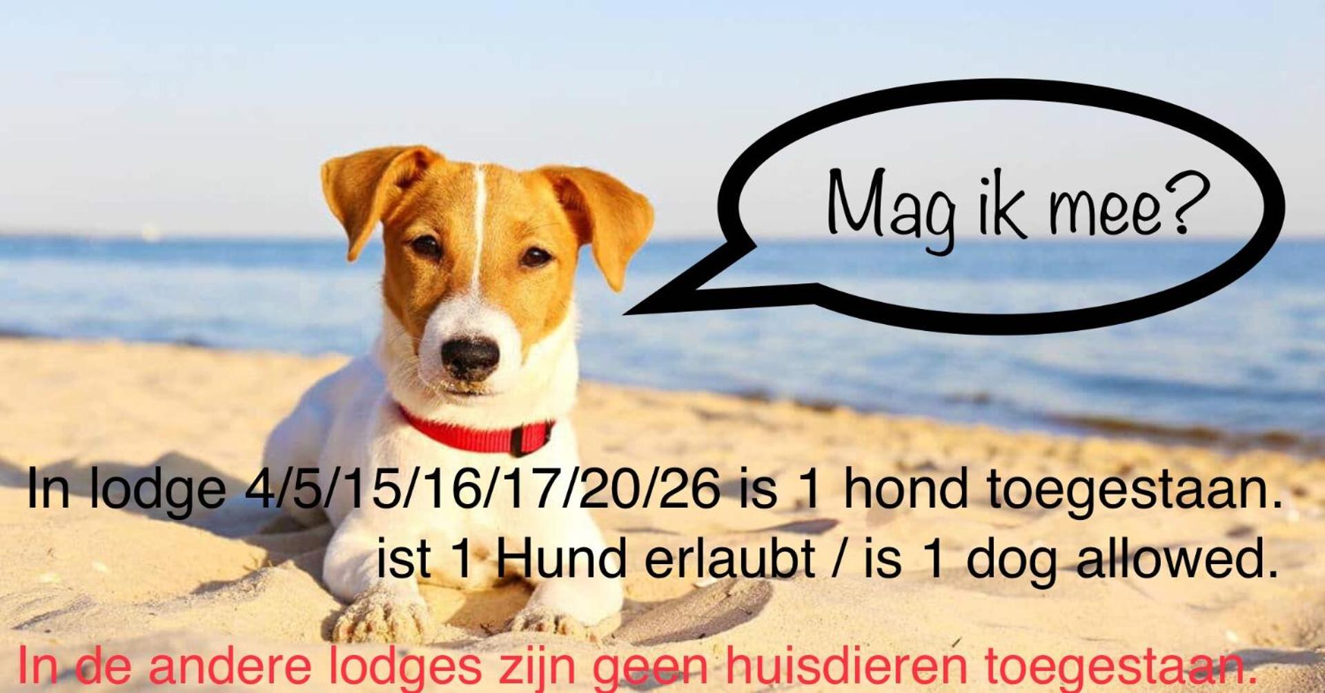 Lodge 4 (pets allowed) photo 2