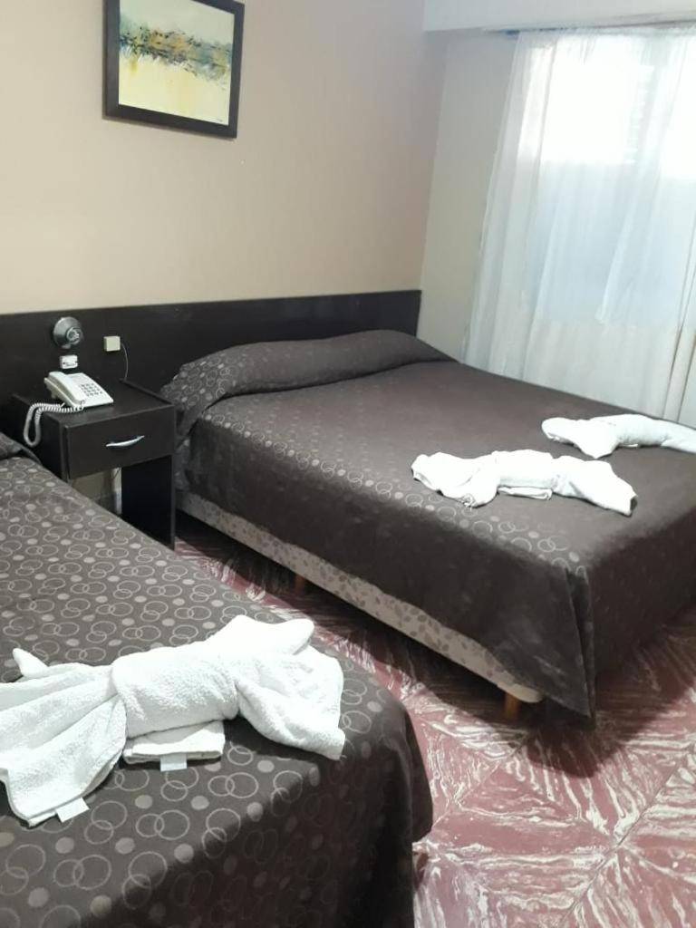 Triple Room photo 1