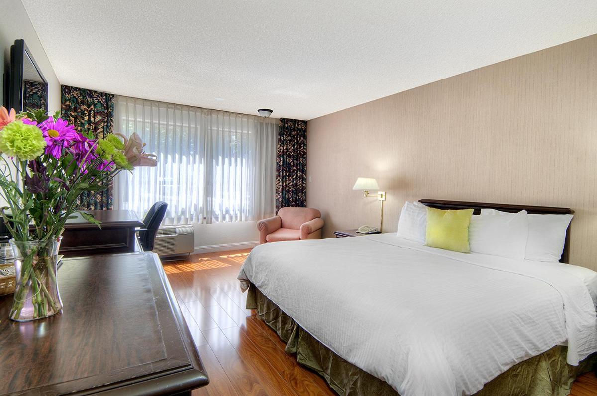King Room - Photo 1
