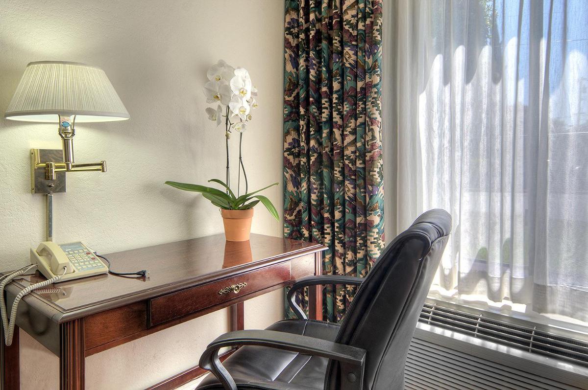 King Room - Photo 3
