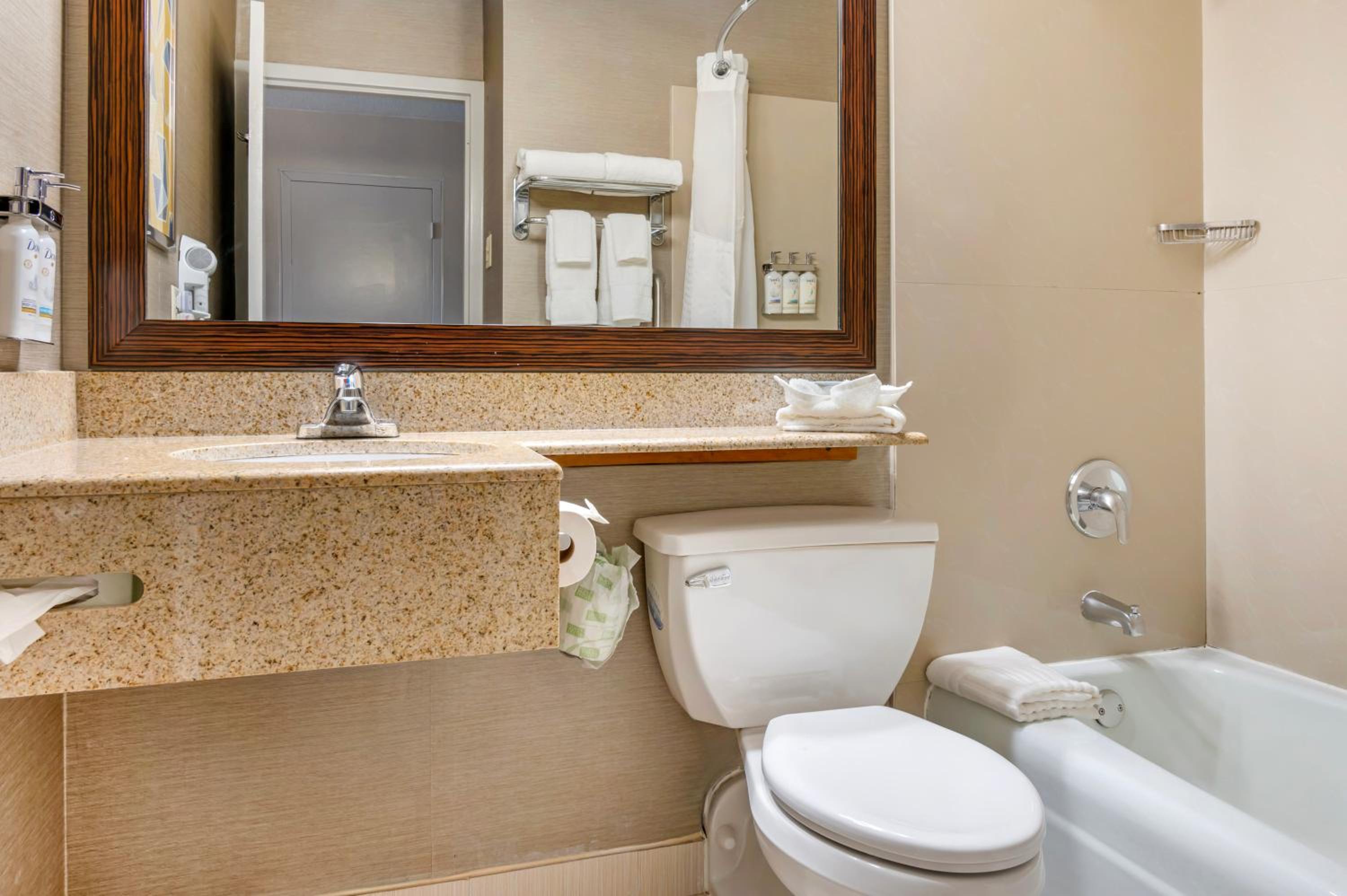King Suite - Non-Smoking photo 3