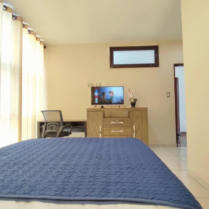 One-Bedroom Apartment photo 2