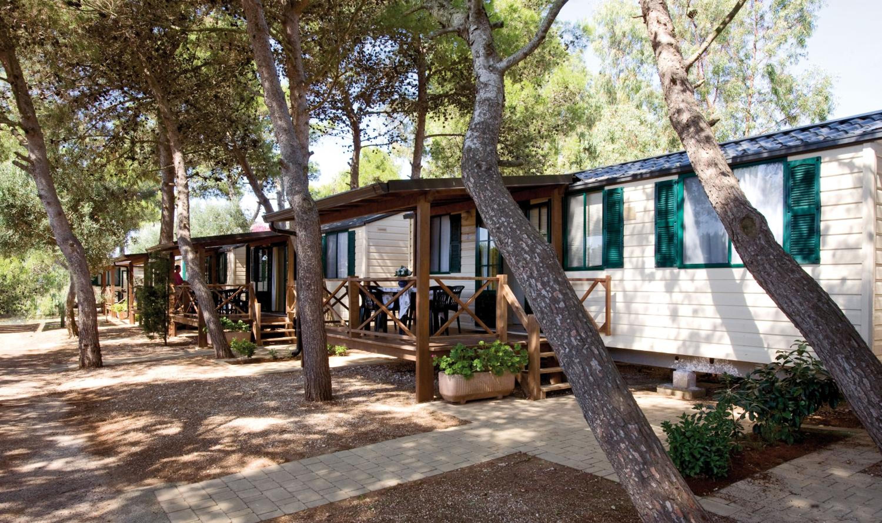 Mobile Home photo 2